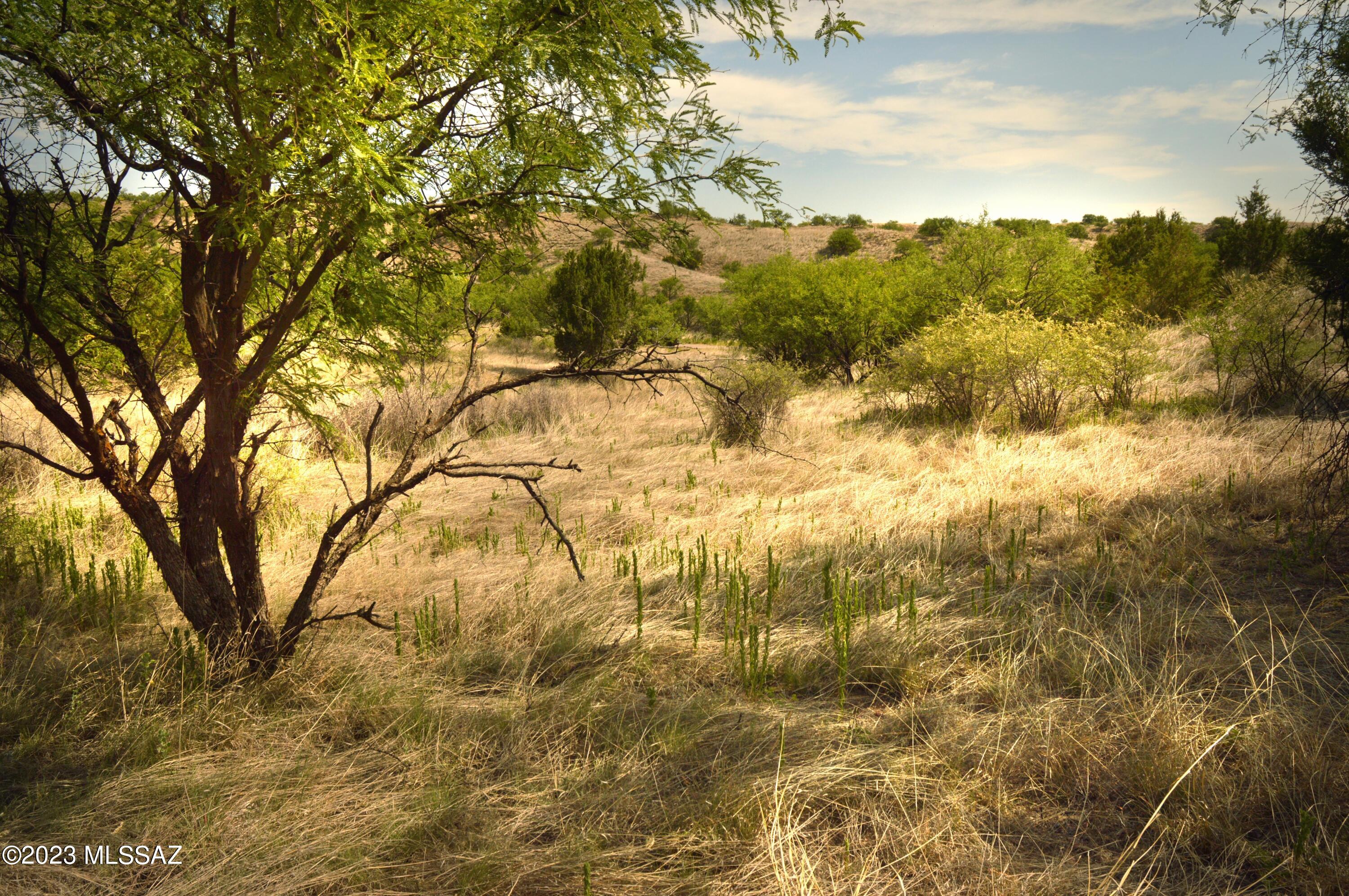 WILDLIFE CORRIDORS is an environmentally thoughtful development in the heart of Southern Arizona's Sky Islands. Recognized by the National Association of Counties for best practices in sustainable projects and programs, Wildlife Haven was designed to protect the land and wildlife while providing an exceptional community lifestyle for its residents. Each parcel has a predetermined building location/pad that is cushioned within a conservation easement, the land will continue to sustain the natural wildlife corridor and migratory bird pathway. If you are longing for tranquility, moderate temperatures, nearby recreational activities, and star-filled night skies, you will appreciate this special development. See: BorderlandsRestoration.org for more information.