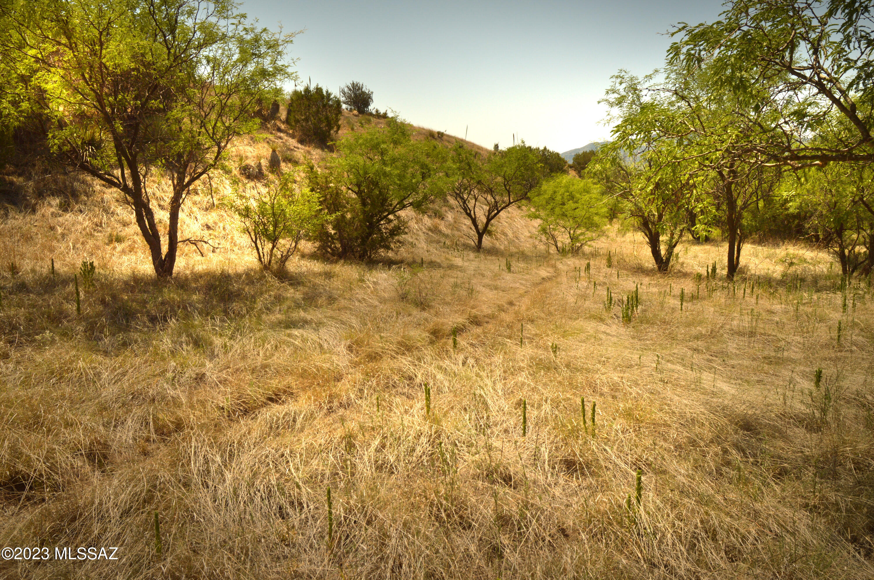 Three Canyons - Land