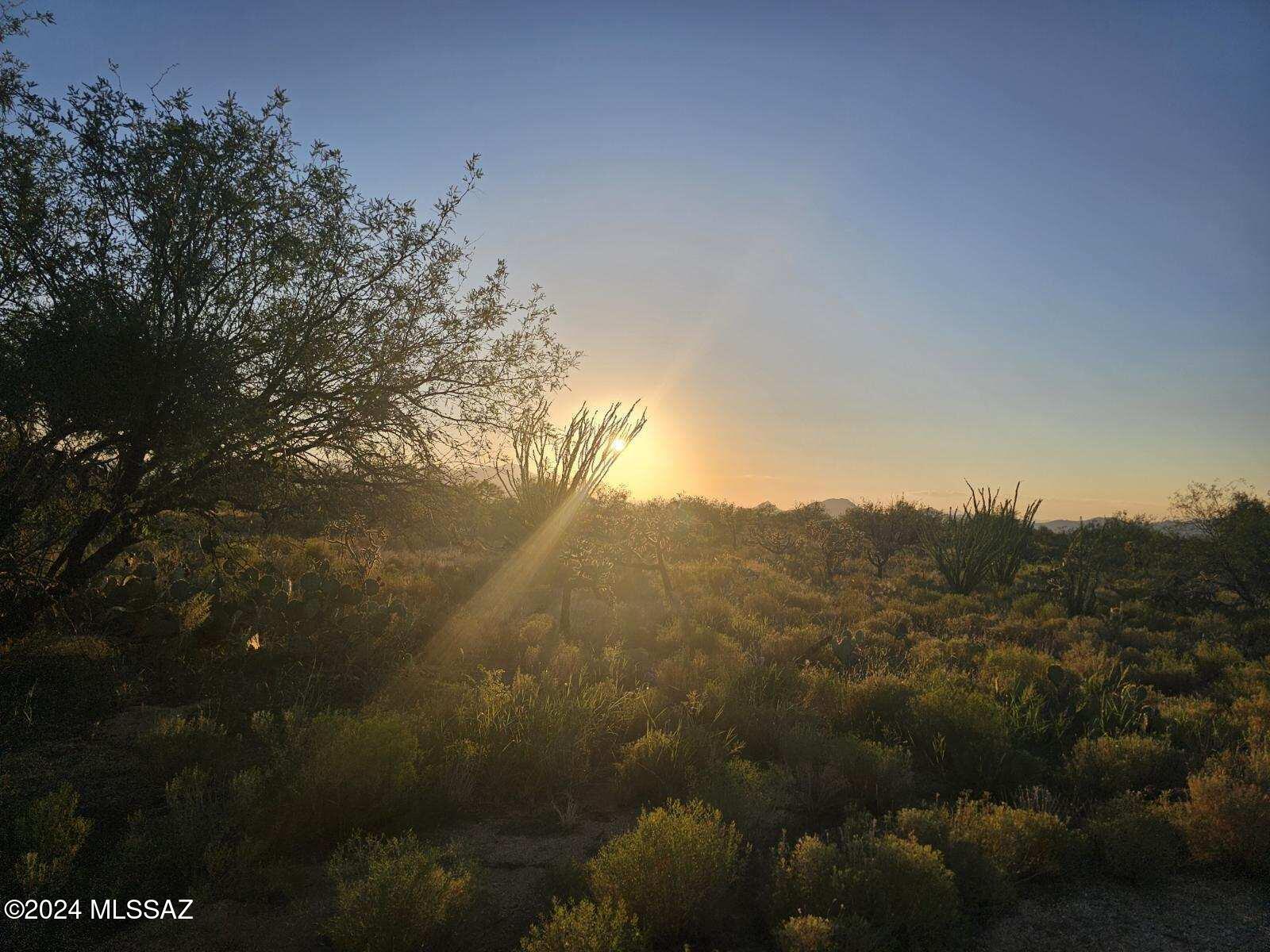 Diamond Bell Ranch - Tucson Unit 6 (1-435) - Land