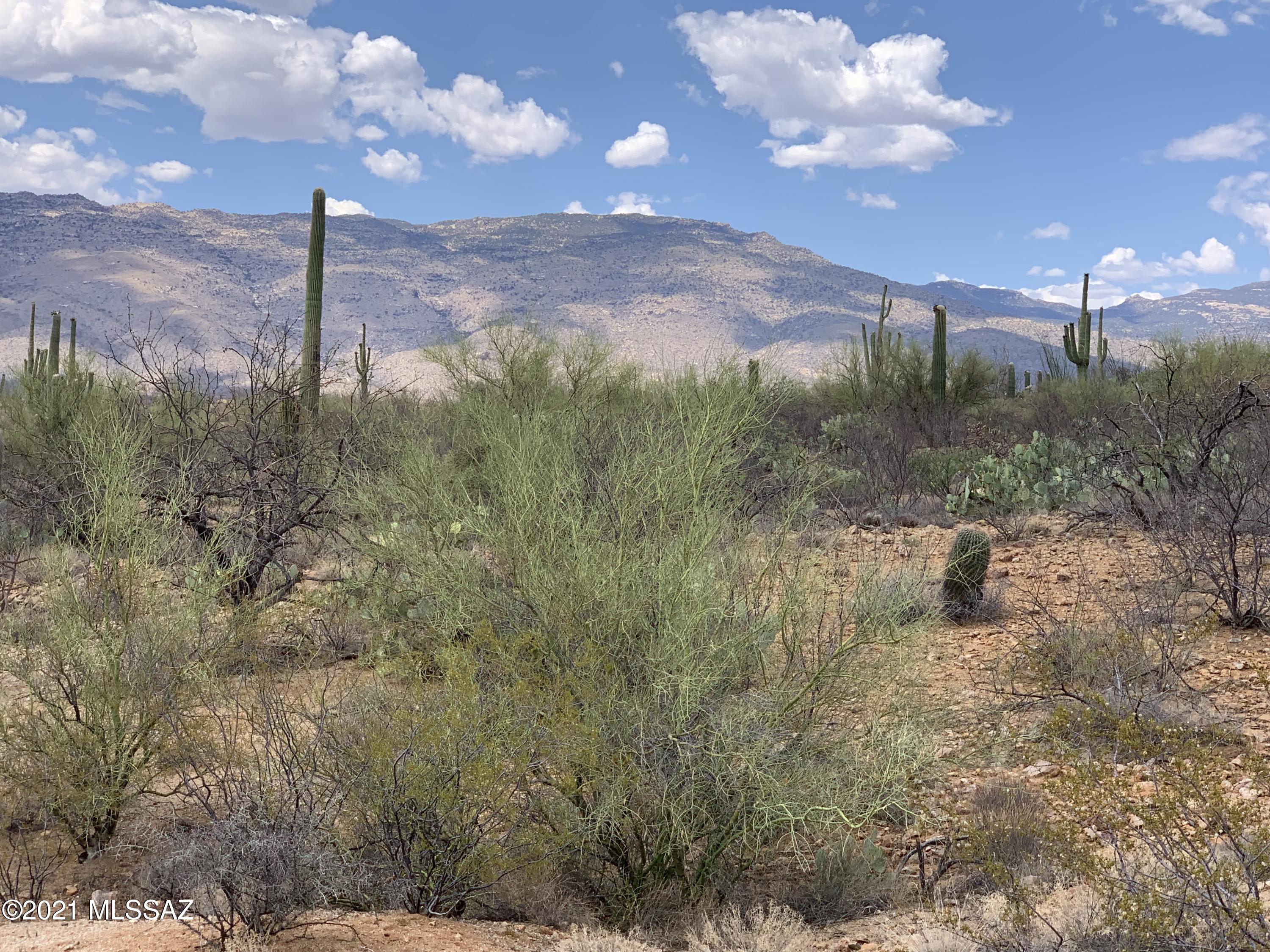 Calling all naturalists! Rincon Valley! Gorgeous site for your future home.  Drive through Coyote Creek subdivision then head east and north into unsubdivided lands just outside the subdivision. Prominent Views of the Rincon Mountains. Saguaros are on the property and groves of the ancients are in view in all directions. No HOA. Build what you desire - large or small! Access Recreation from your back door! Horses, Hiking and Mtn Biking! You've got a national park entrance trail at the north end of Rolling Tumbleweed Rd! See attached maps & info for well share & electric availability. Do your own thing with a workshop, guest house, barn. Safeway shopping plaza, restaurants, schools all within 15min! Enjoy the natural desert setting without of the hardships of a remote location!