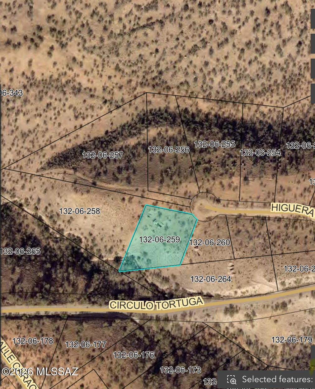 Rio Rico Ranchettes 18 - Land