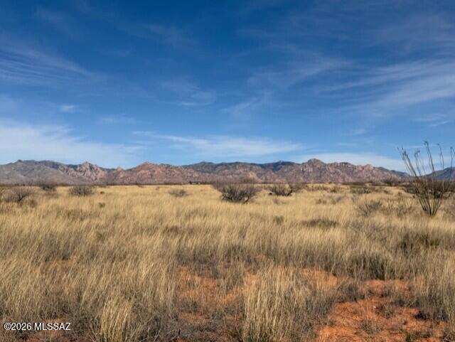 Dragoon Mountain Ranch - Land