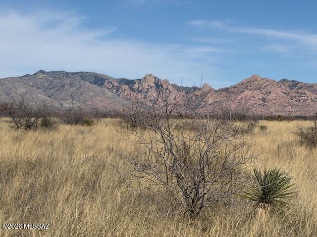 Dragoon Mountain Ranch - Land