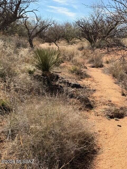 Dragoon Mountain Ranch - Land