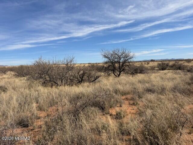 Dragoon Mountain Ranch - Land