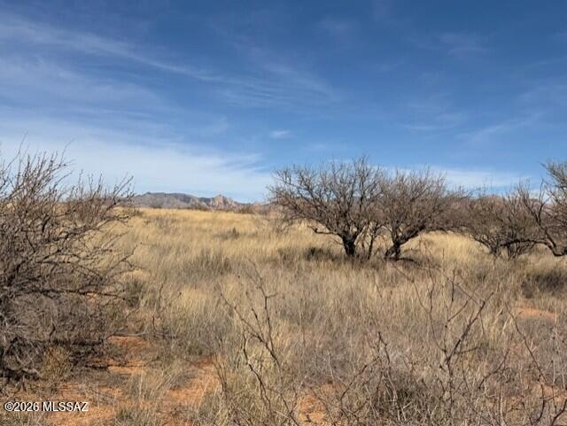 Dragoon Mountain Ranch - Land