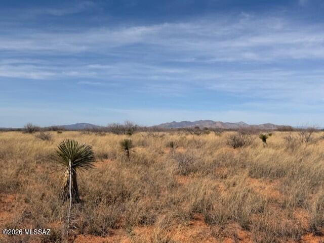 Dragoon Mountain Ranch - Land