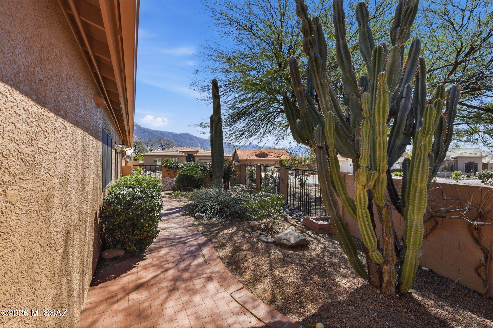 Welcome to this beautifully maintained 3 BD/2BA Alameda model in the highly desirable active-adult community of SaddleBrooke. This inviting home features a bright, open floor plan perfect for everyday living and entertaining. The updated kitchen showcases elegant quartz countertops, complemented by a convenient quartz wet bar ideal for hosting guests. Both bathrooms have been tastefully updated, and the cozy gas fireplace adds warmth and charm to the living space. Additional highlights include ceiling fans in all bedrooms, recirculating water pump, fresh exterior paint (2024), hot tub hookup, and updated irrigation system. Step outside to enjoy the private backyard featuring two citrus trees and a dedicated garden area, creating the perfect setting for relaxing.  Solar screens help with lower electric bills.