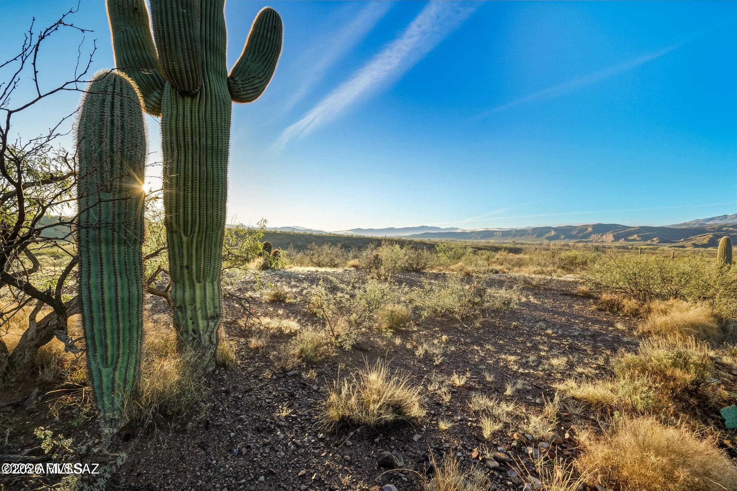 Discover 36.165 acres of pristine Arizona desert with breathtaking mountain views in every direction. This stunning parcel is dotted with iconic saguaro cacti and native Sonoran vegetation, offering privacy, wide-open space, and endless possibilities. Enjoy spectacular sunsets, peaceful surroundings, and the perfect setting for a custom home, private retreat, or investment opportunity. A rare chance to own expansive acreage with unobstructed views and authentic desert charm.
Seller believes groundwater may be under 100 ft, unverified. Seller was informed area water is mountain-sourced, not the San Pedro River. Buyer to verify all water details.
Owner-carry financing may be available with an acceptable offer.