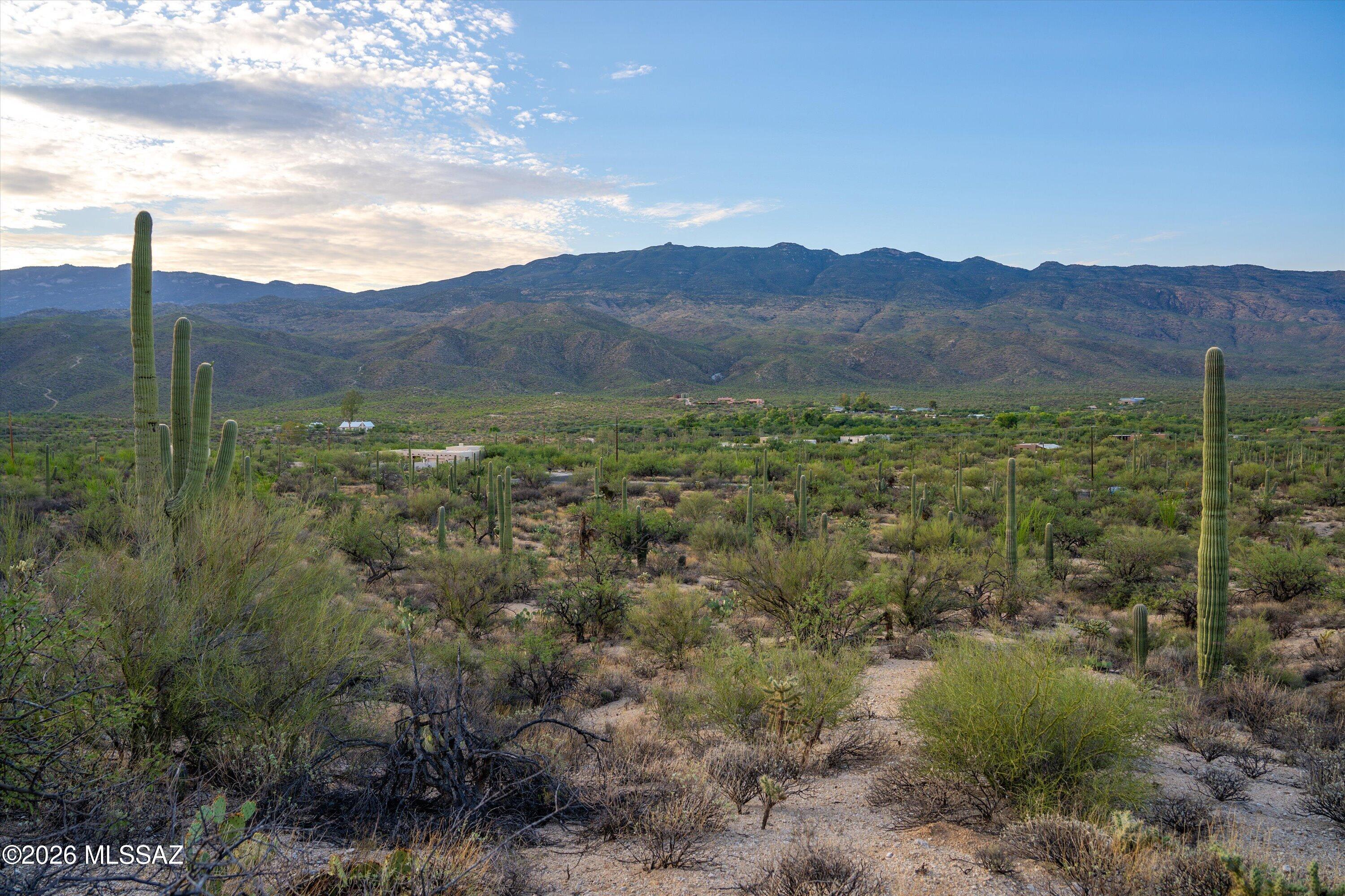 La Cebadilla Estates (1-161) - Land