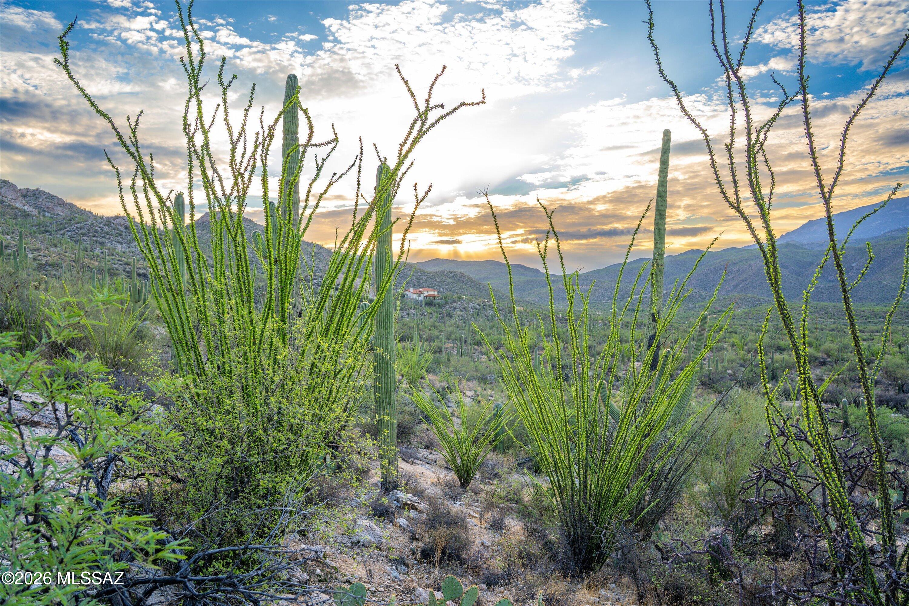 Picture perfect in every direction, 8.97 Saguaro covered acres in La Cebadilla Estates. Rugged rock hillside to the north. Elevated views of the valley to the south. Sunrise over the Rincons to the east and sunsets over the horizon to the west. 360 degrees of desert beauty on property zoned for horses and livestock. Minutes away from horse riding trails, HOA maintained lake with fishing and boat use while fishing. A stunning place to build your home, watch native wildlife, monsoon rains and rainbows, inspiring sunrises and relaxing sunsets.