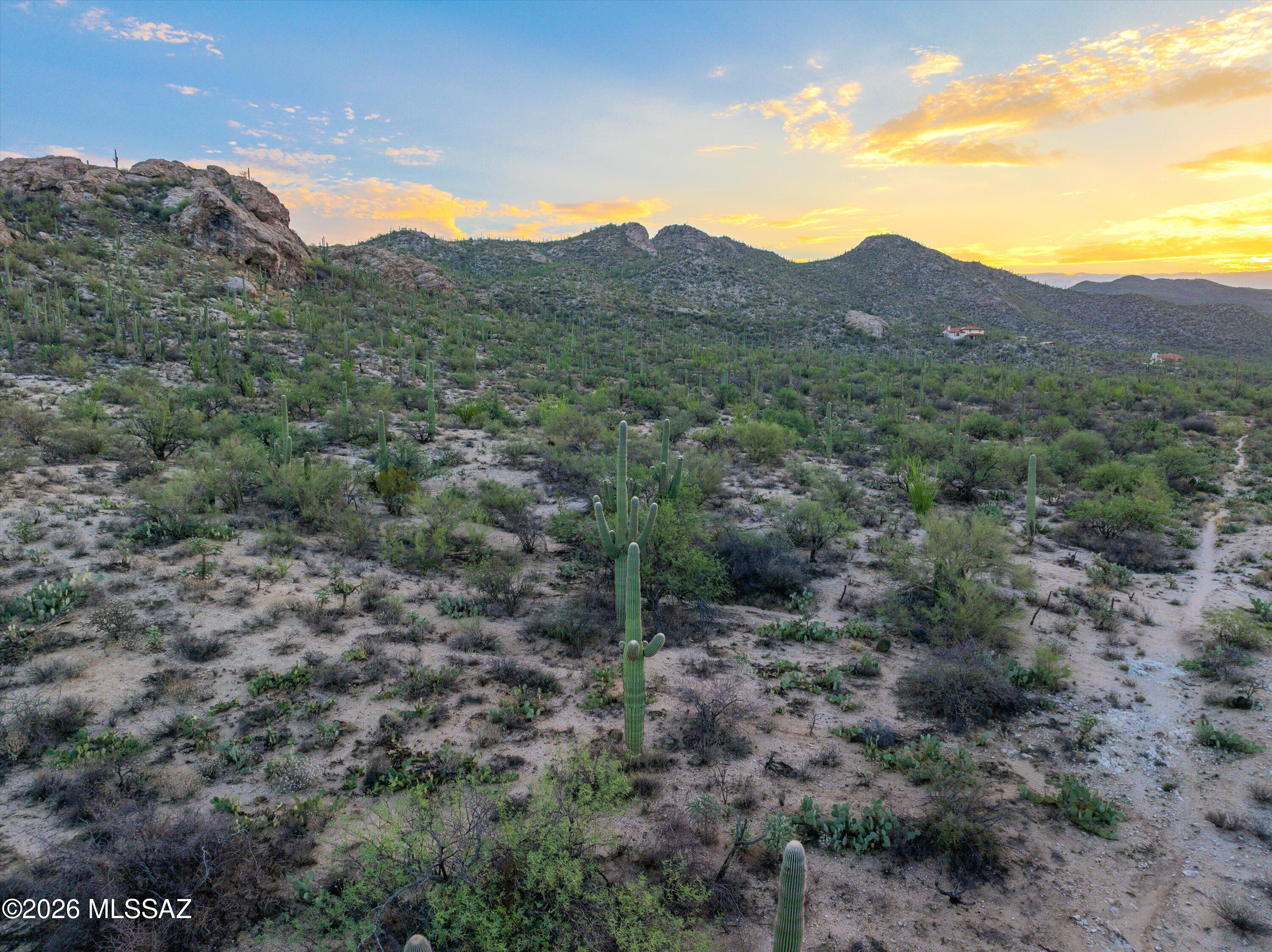 La Cebadilla Estates (1-161) - Land