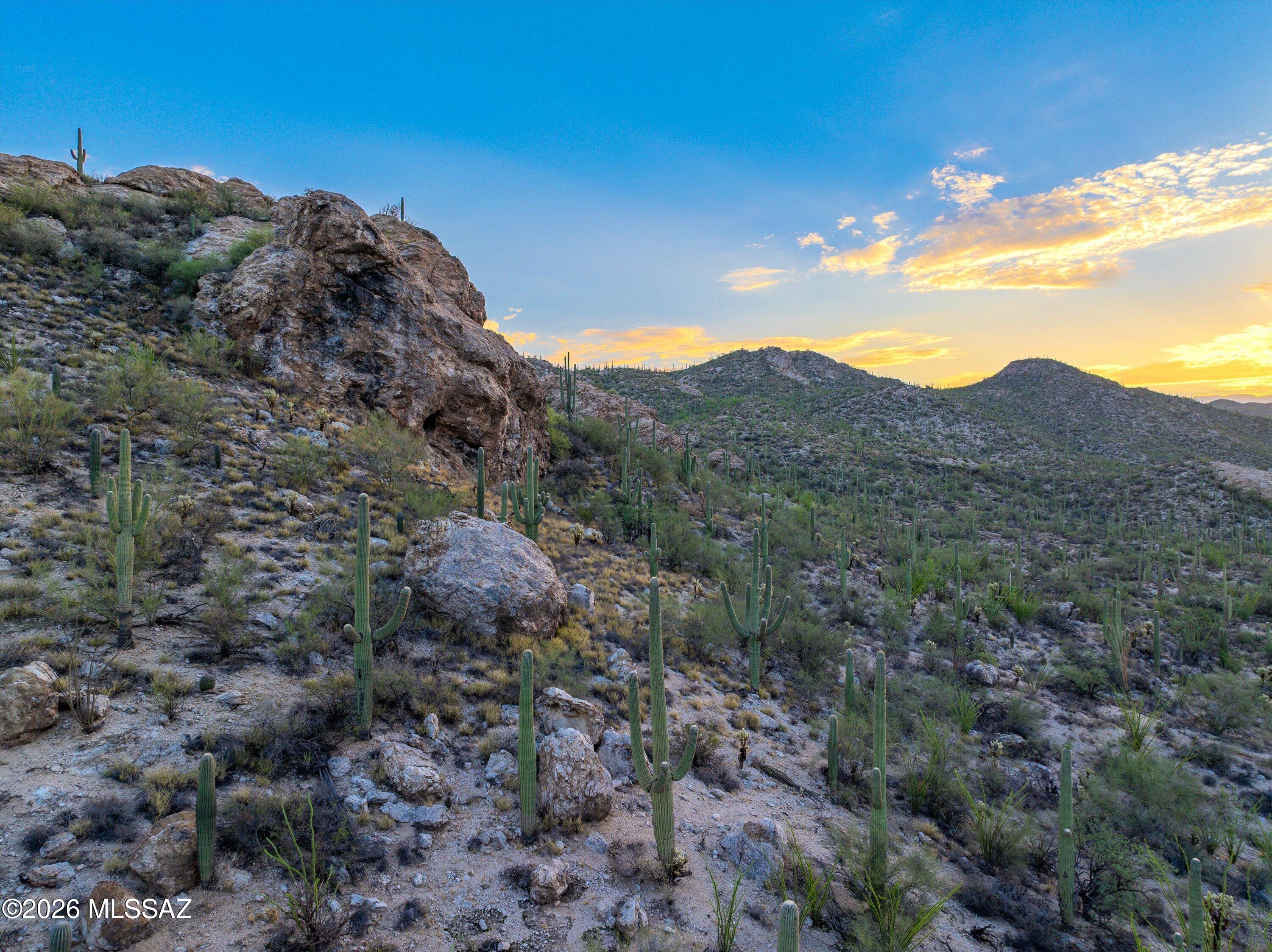 La Cebadilla Estates (1-161) - Land
