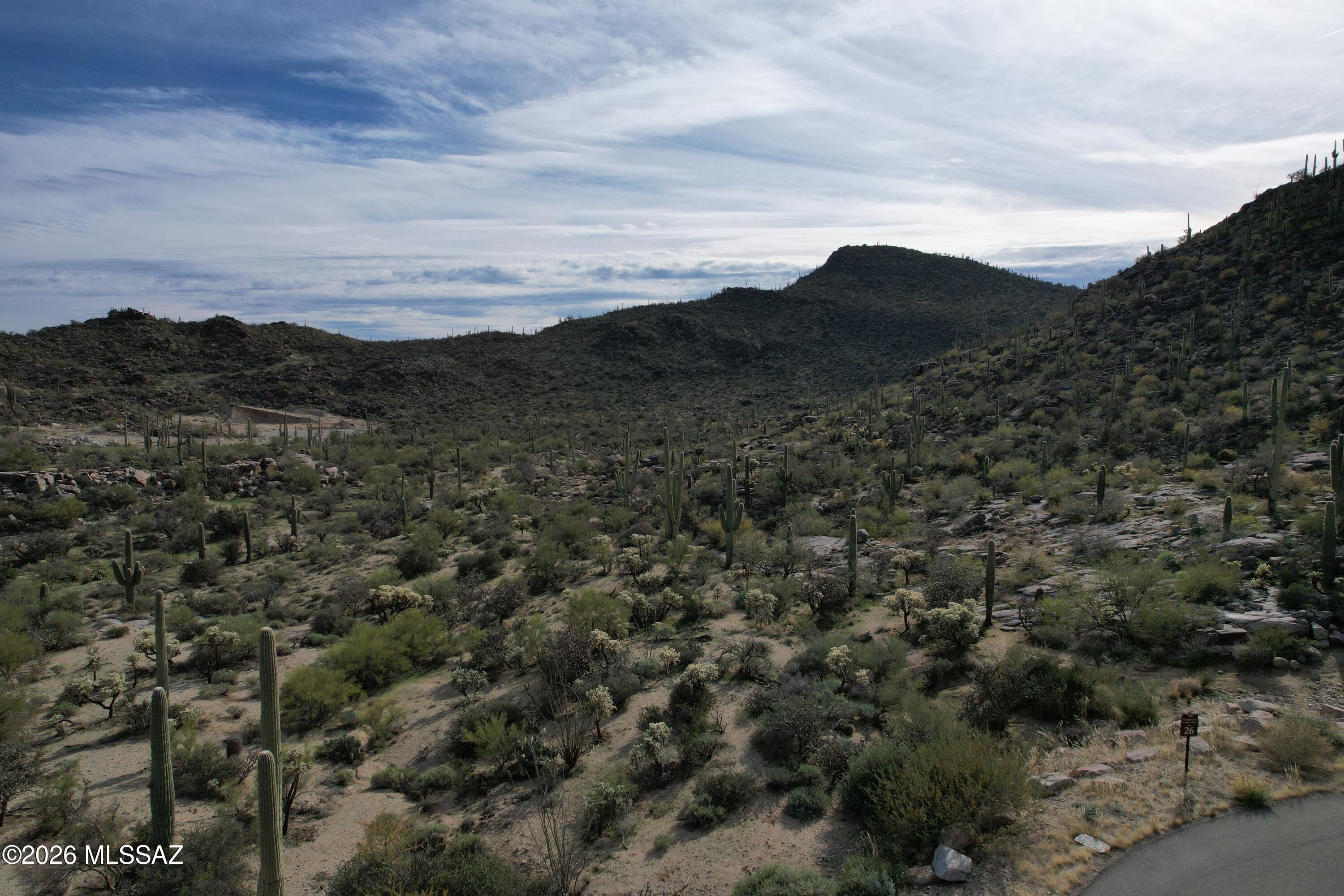 An exceptional opportunity to create a custom residence on this 1.48-acre homesite in Saguaro Ranch, a thoughtfully planned, gated community offering privacy and refined desert living. This premium lot is surrounded by pristine Sonoran Desert, providing peaceful, quiet surroundings and expansive views. Site and development details available