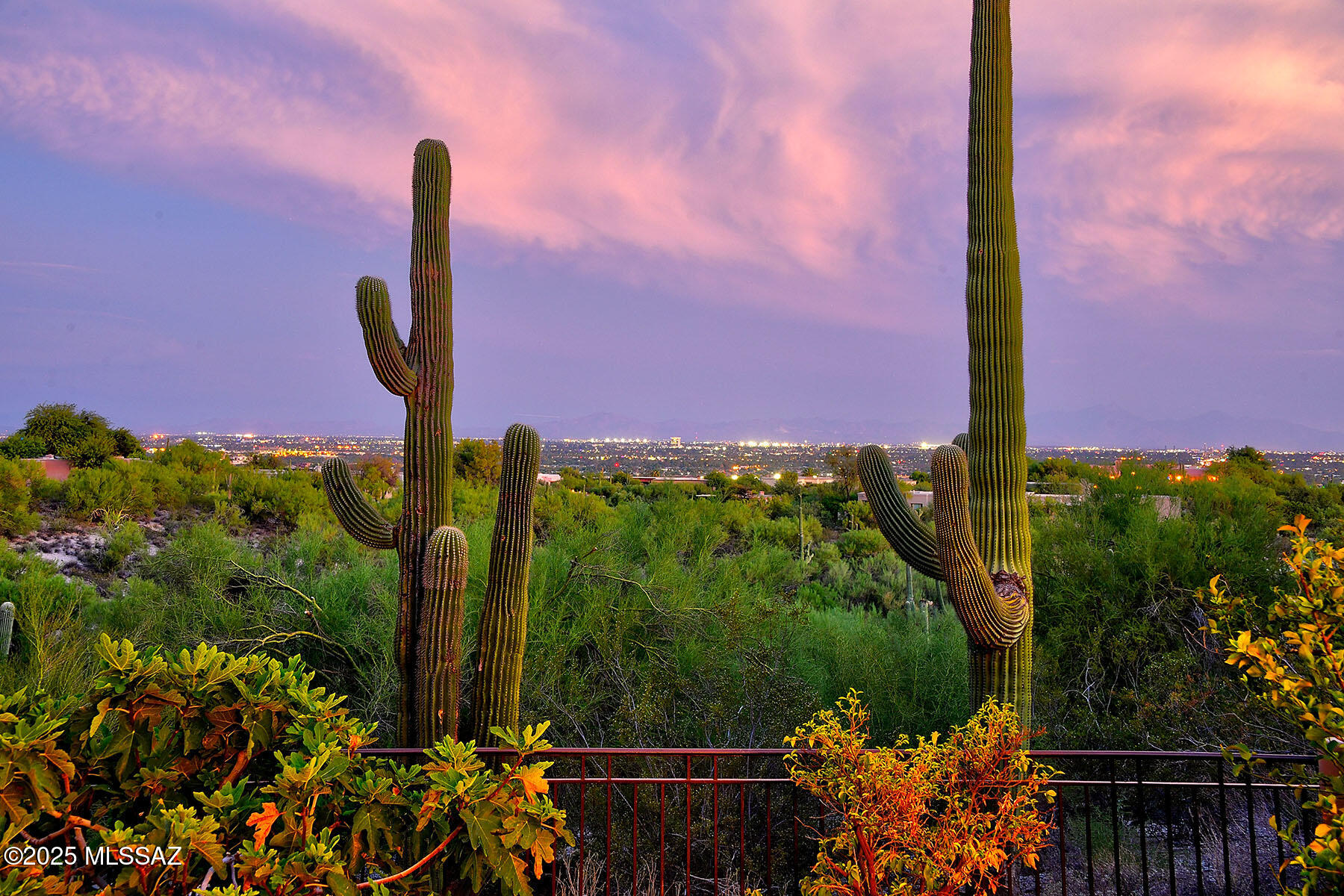 Catalina Foothills Estates #10 (259-278) - Residential