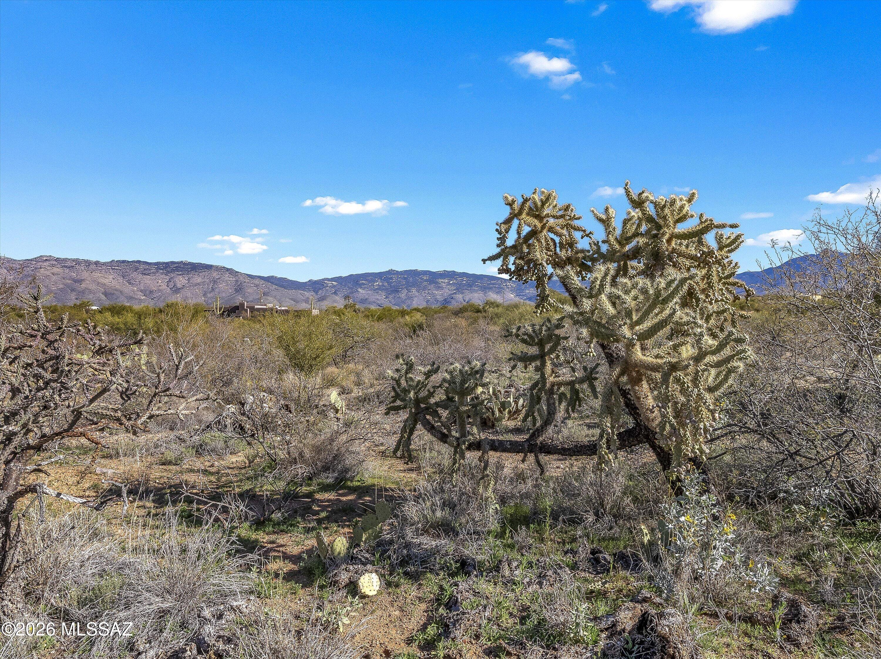 Mountain Creek Ranch (1-64) - Land
