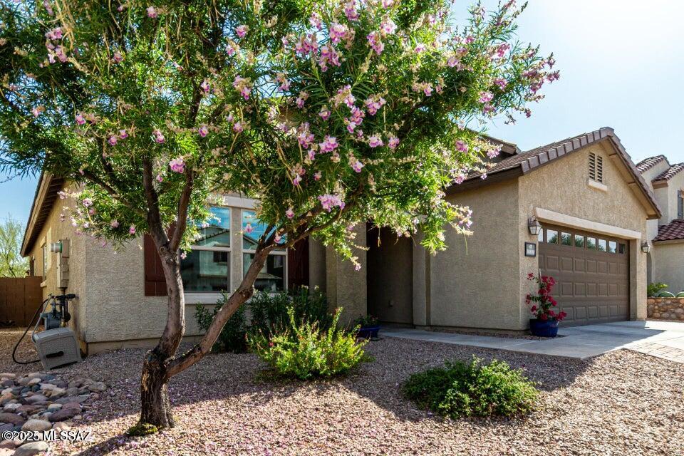Sierra Morado Unit 4 - Residential