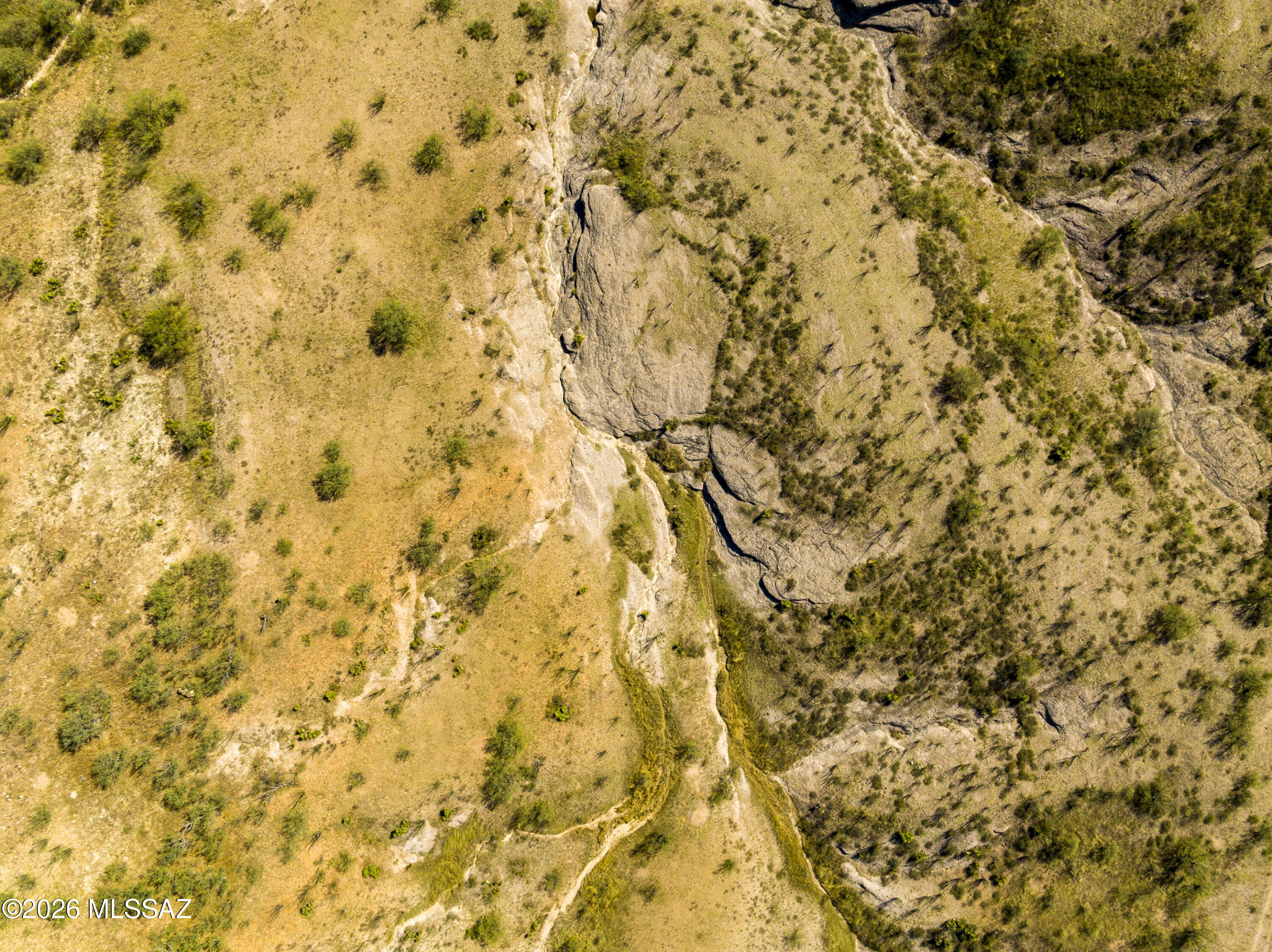 Kino Springs Nogales - Land