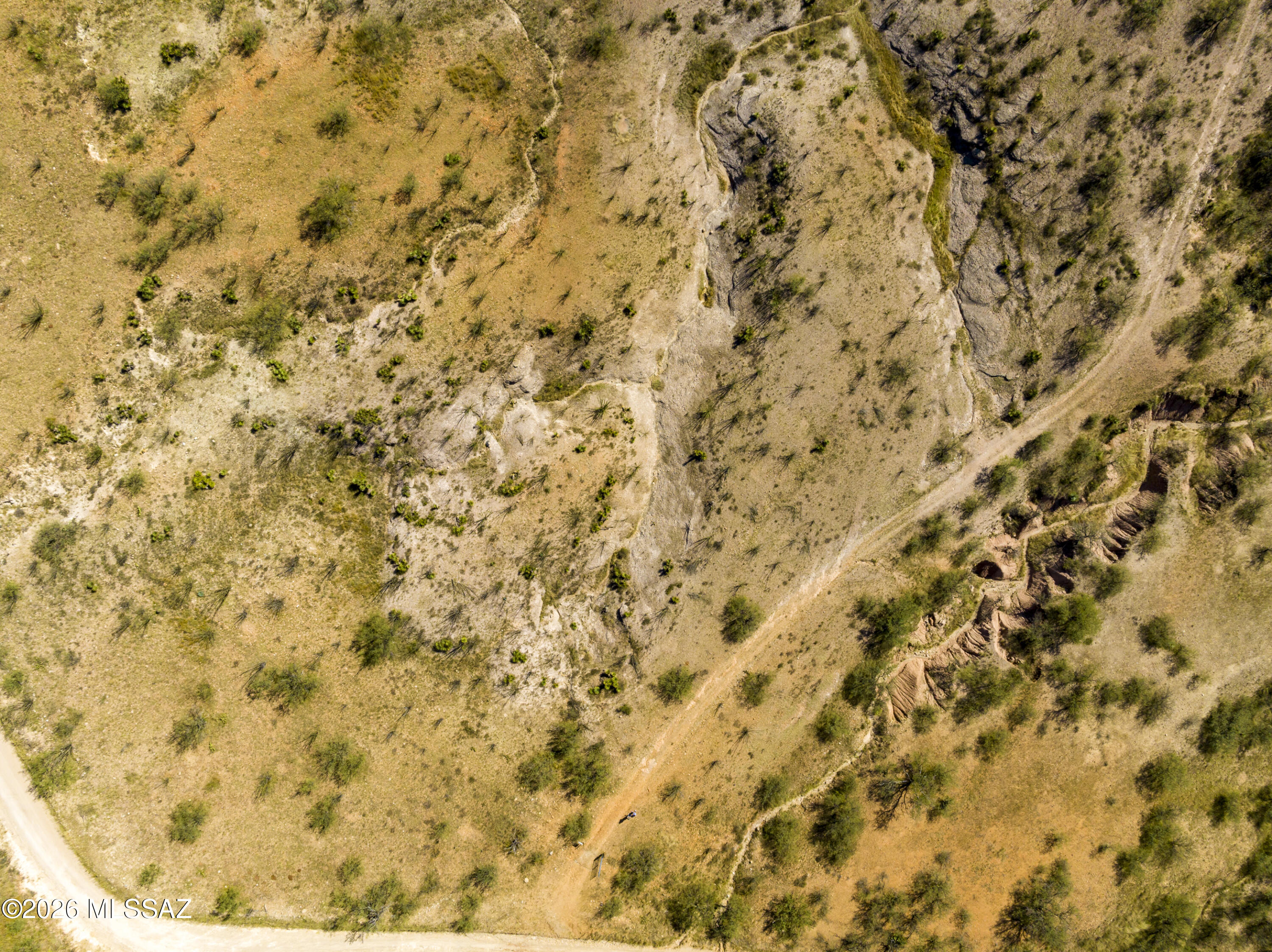 Kino Springs Nogales - Land