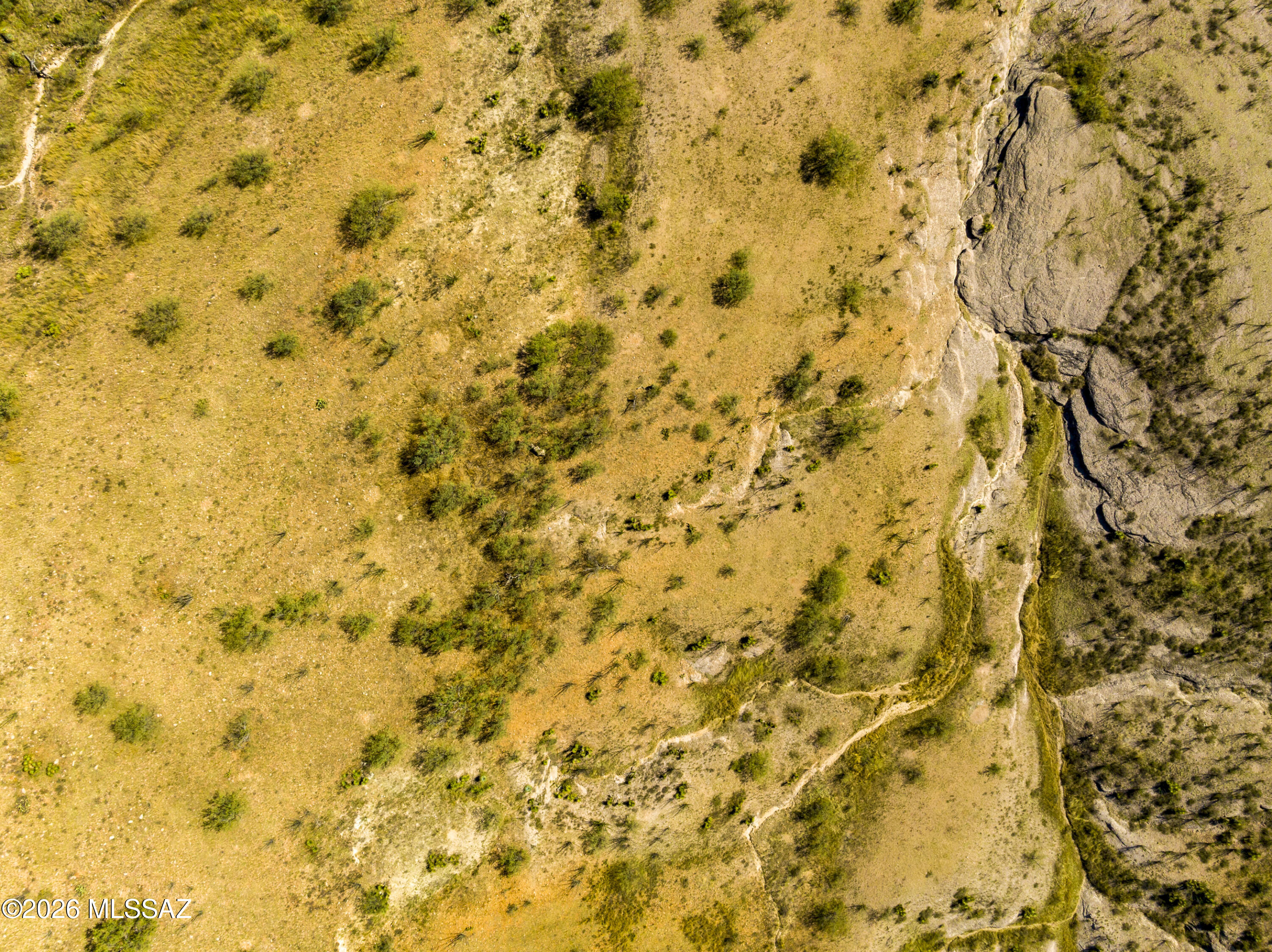 Kino Springs Nogales - Land