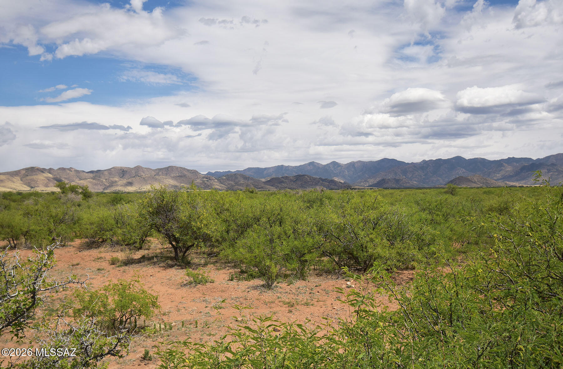 Turkey Creek Ranch - Land
