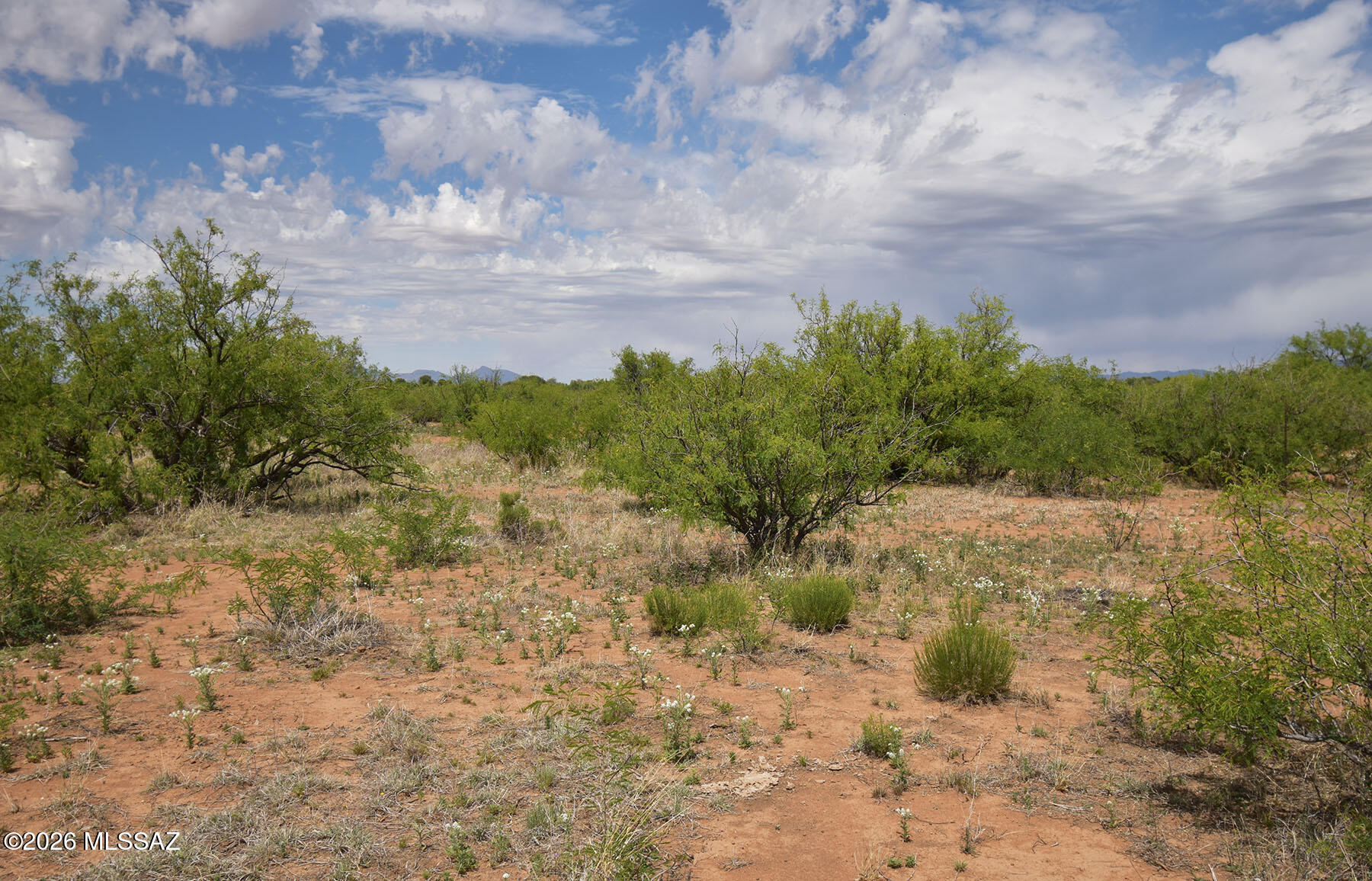 Turkey Creek Ranch - Land
