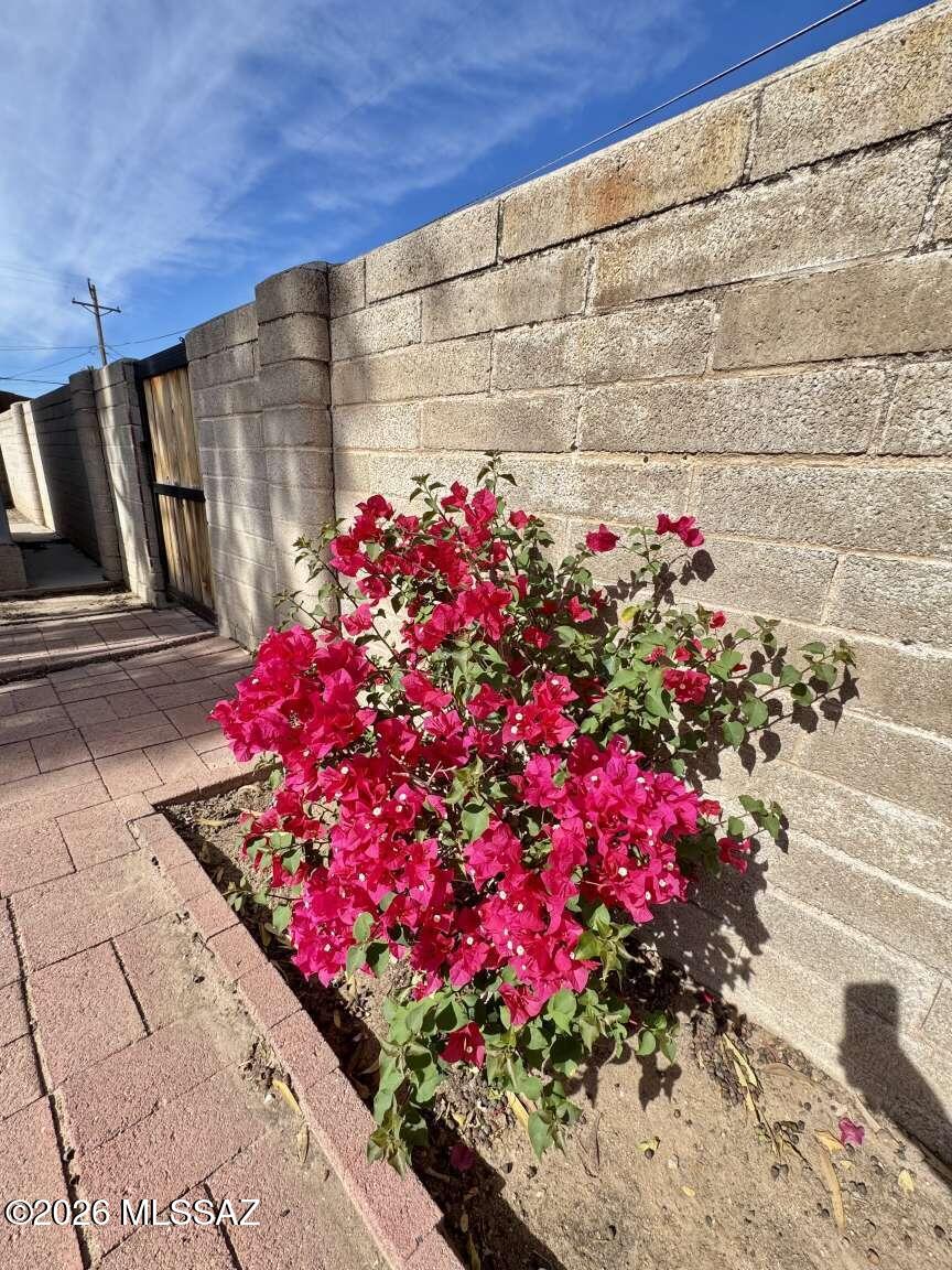 Flowing Wells Village - Residential