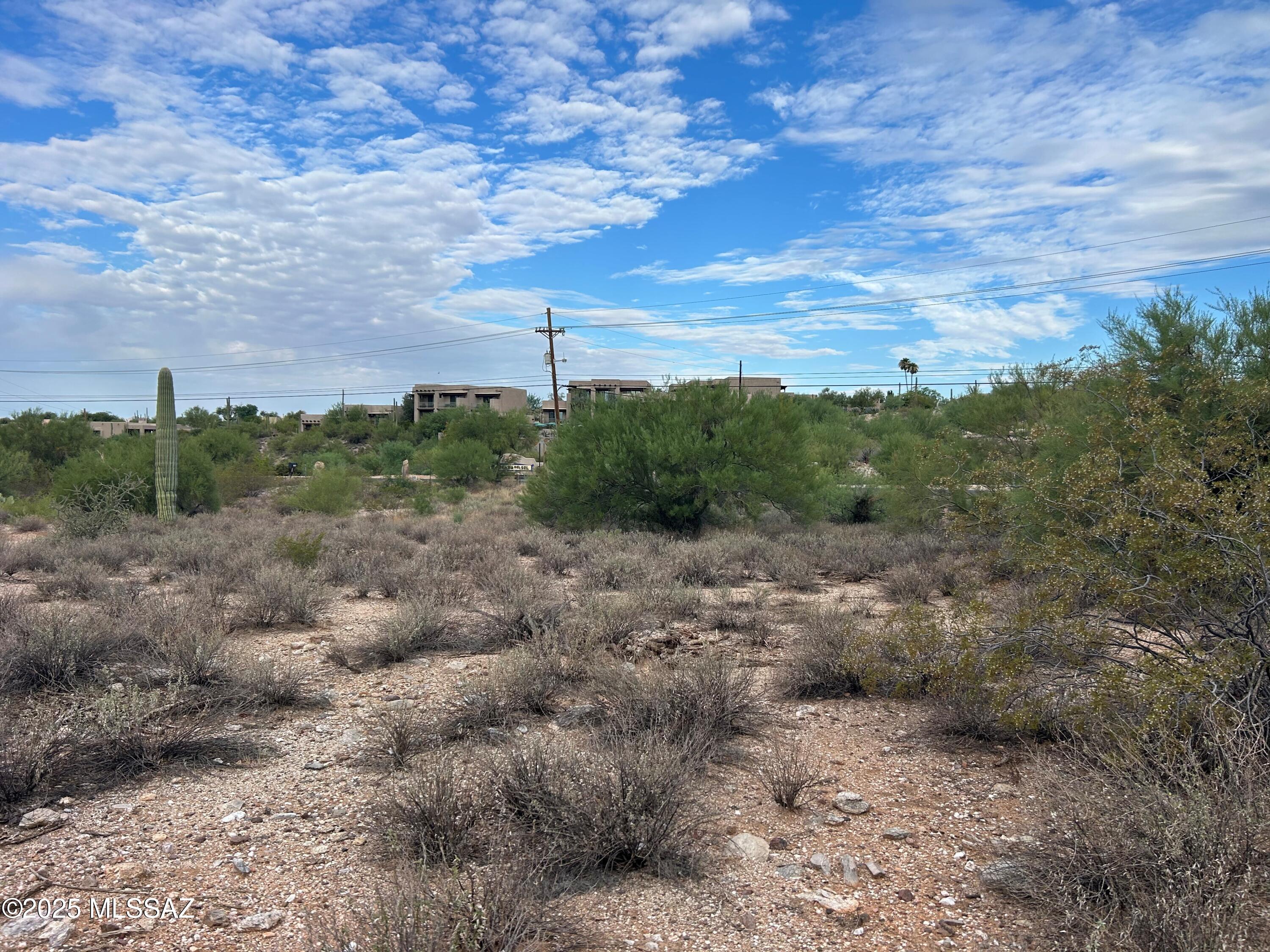 Rare, highly desirable Cat 10 lot. Build your dream home and enjoy the sunrise mornings and sunset evenings. Gorgeous mountain views. Catalina Foothills Estate 10 is a gated community. This lot is outside the gated community and is not accessed the full gated community dues. No sewer connection. Septic required. Show any time Owner/Agent