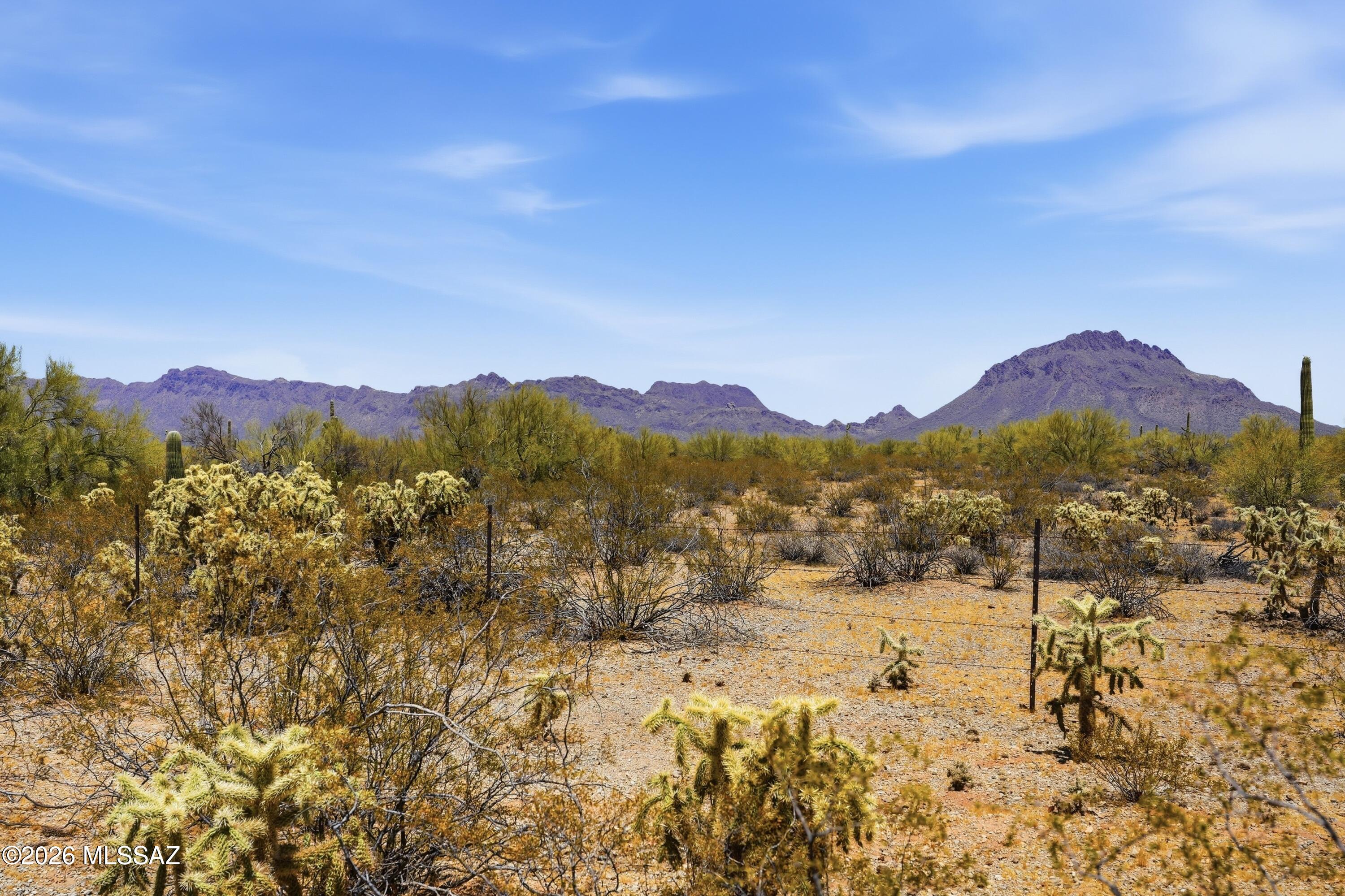 Tucson Saguaro Estates (1-67) - Residential