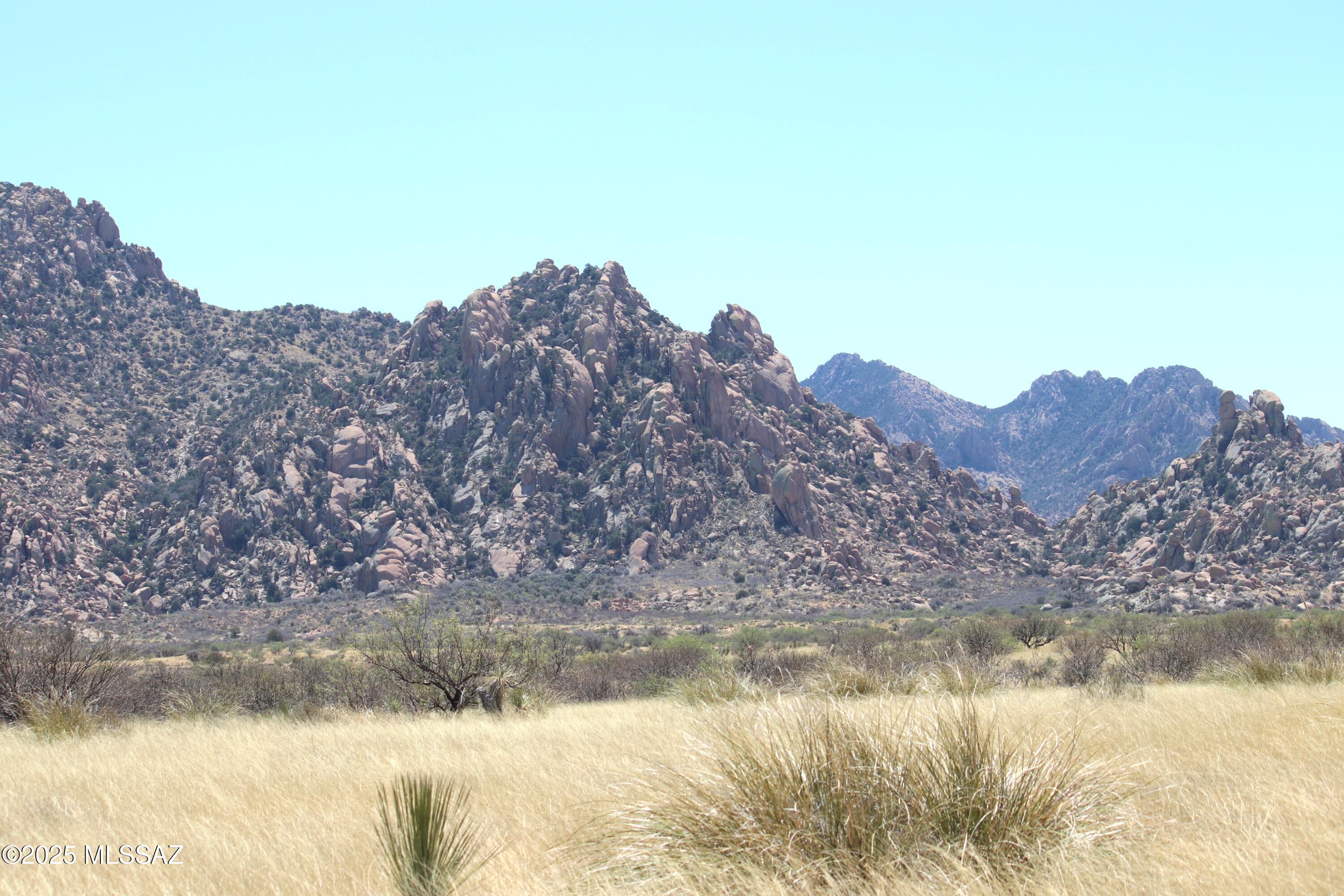 Dragoon Mountain Ranch - Land