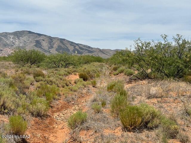 Single lot 1.17A 272'x297'. Good Mountain and Panoramic Views. Frame Built homes only. Zoned SR-43. Will need utilities or build off grid. 15 minutes to I10.
