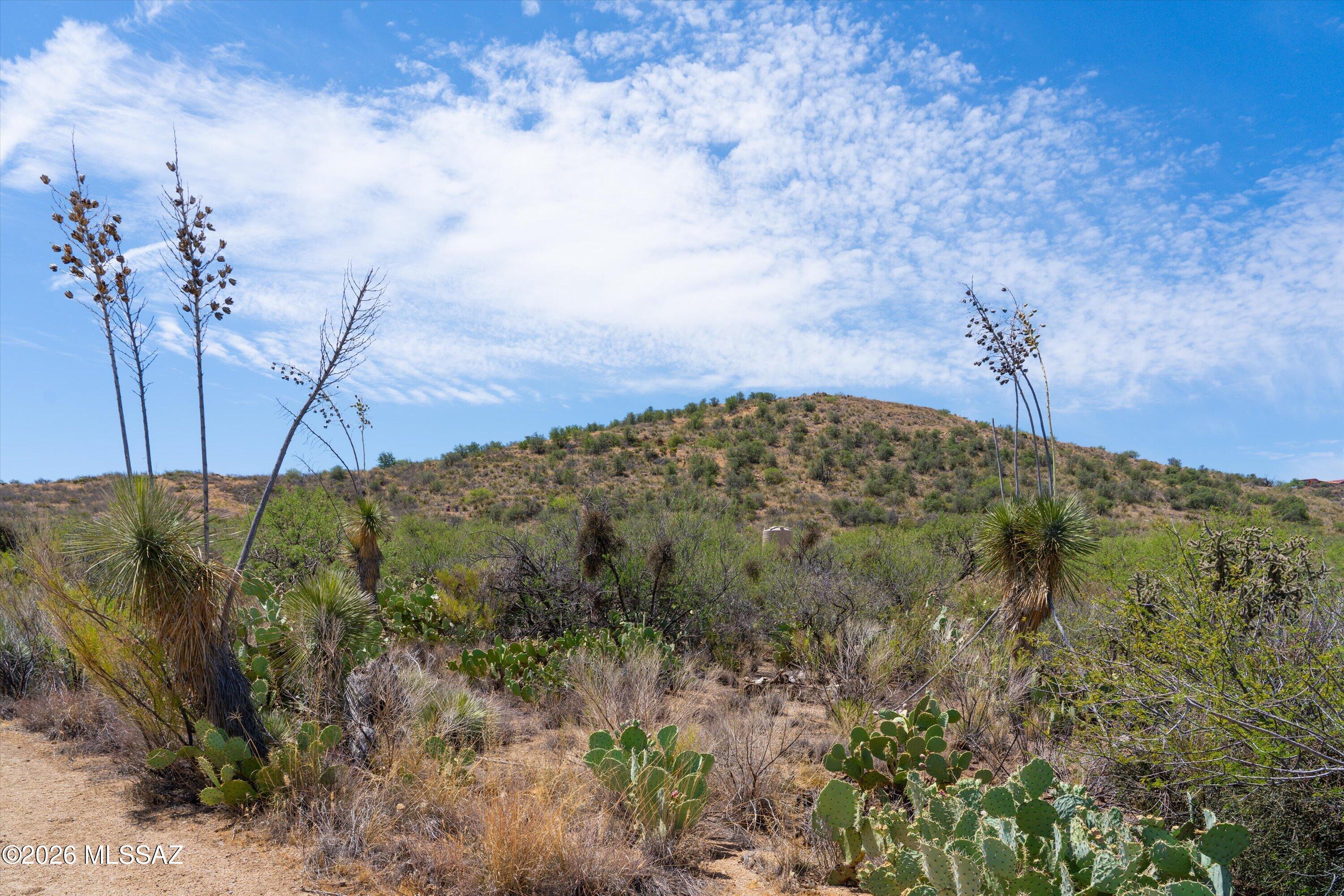 Amazing opportunity to build your dream home on this beautiful 2.18 acre parcel in the heart of Oracle! Enjoy breathtaking mountain and desert views, along with the peace and privacy of wide open spaces. The property includes a shared well with five well shares and underground electric already brought to the lot, making it ready for your custom home. Mature mesquite trees, native cacti, and seasonal desert wildflowers create a picturesque Sonoran Desert setting. With plenty of room for a site built home, garage, workshop, and all your recreational toys, this property offers the perfect blend of natural beauty and endless possibilities.