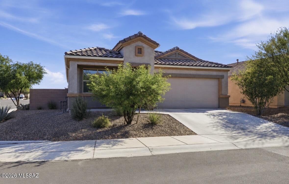 Saguaro Bloom SQ20180540069 - Residential