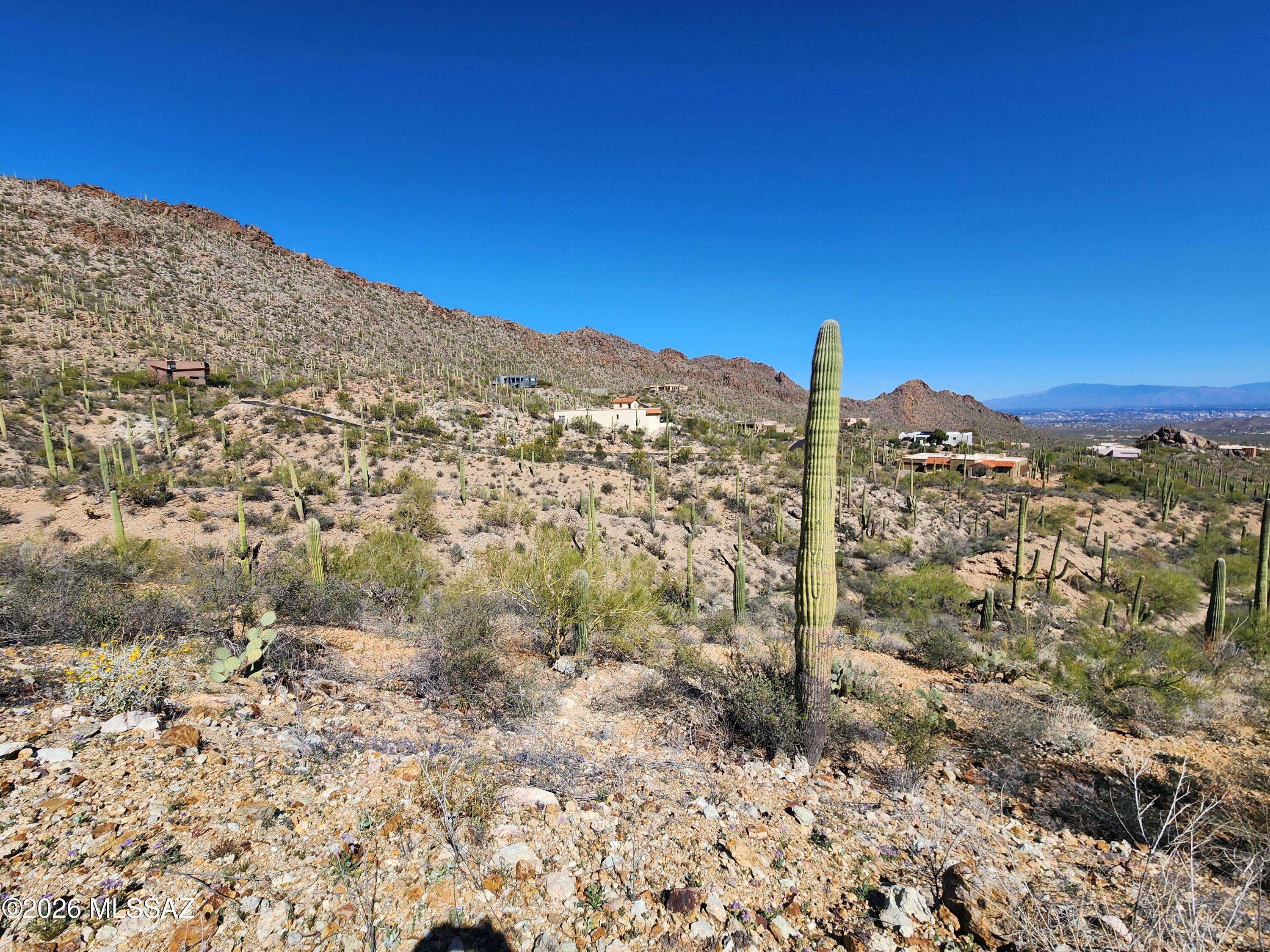 Over 8 acres in gorgeous Tucson, this saguaro-studded homesite offers the perfect canvas to build your custom dream home. Located within the exclusive gated community of Trails End Estates, this property is surrounded by breathtaking mountain views in every direction. Enjoy privacy, natural beauty, and the serenity of the Sonoran Desert while still being within reach of modern conveniences. A rare opportunity to create a one-of-a-kind estate in one of Tucson's most sought-after settings.