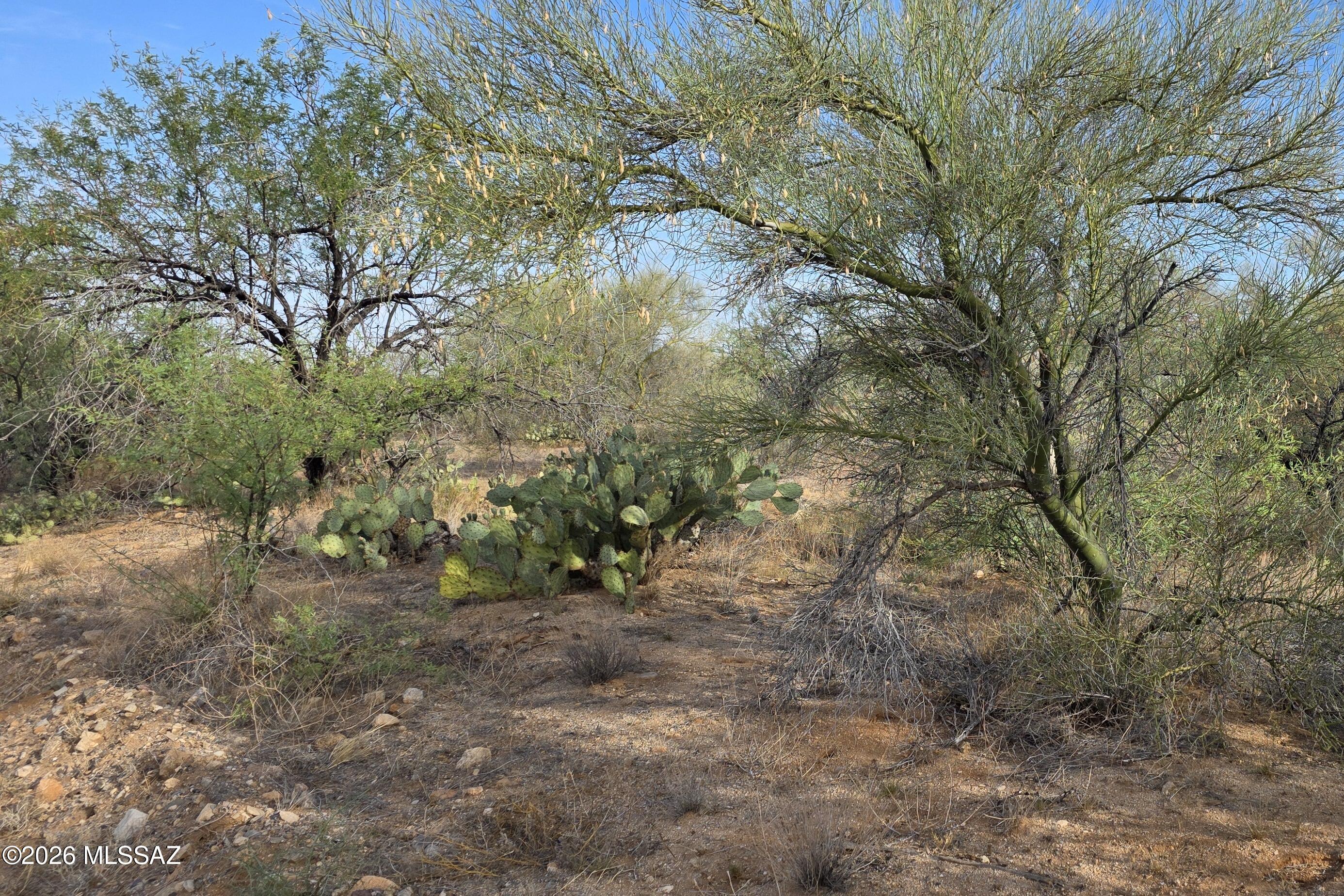Diamond Bell Ranch - Tucson Unit 6 (1-435) - Land