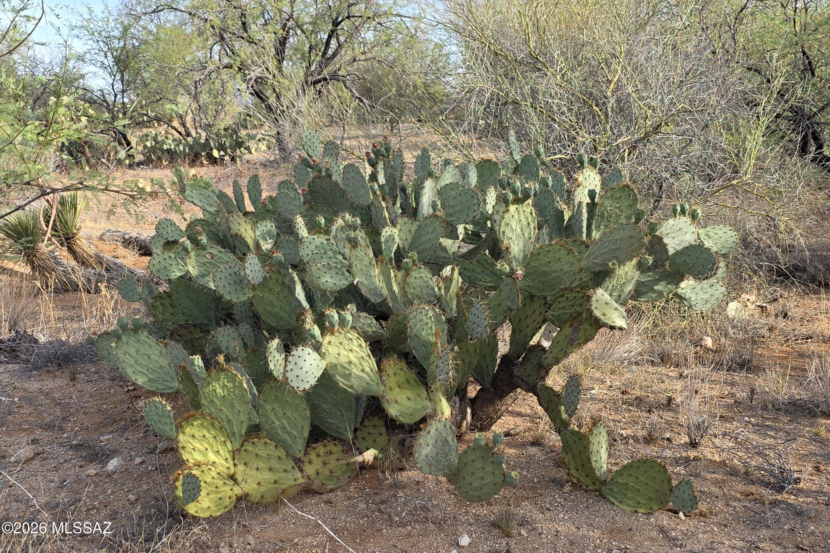 Diamond Bell Ranch - Tucson Unit 6 (1-435) - Land