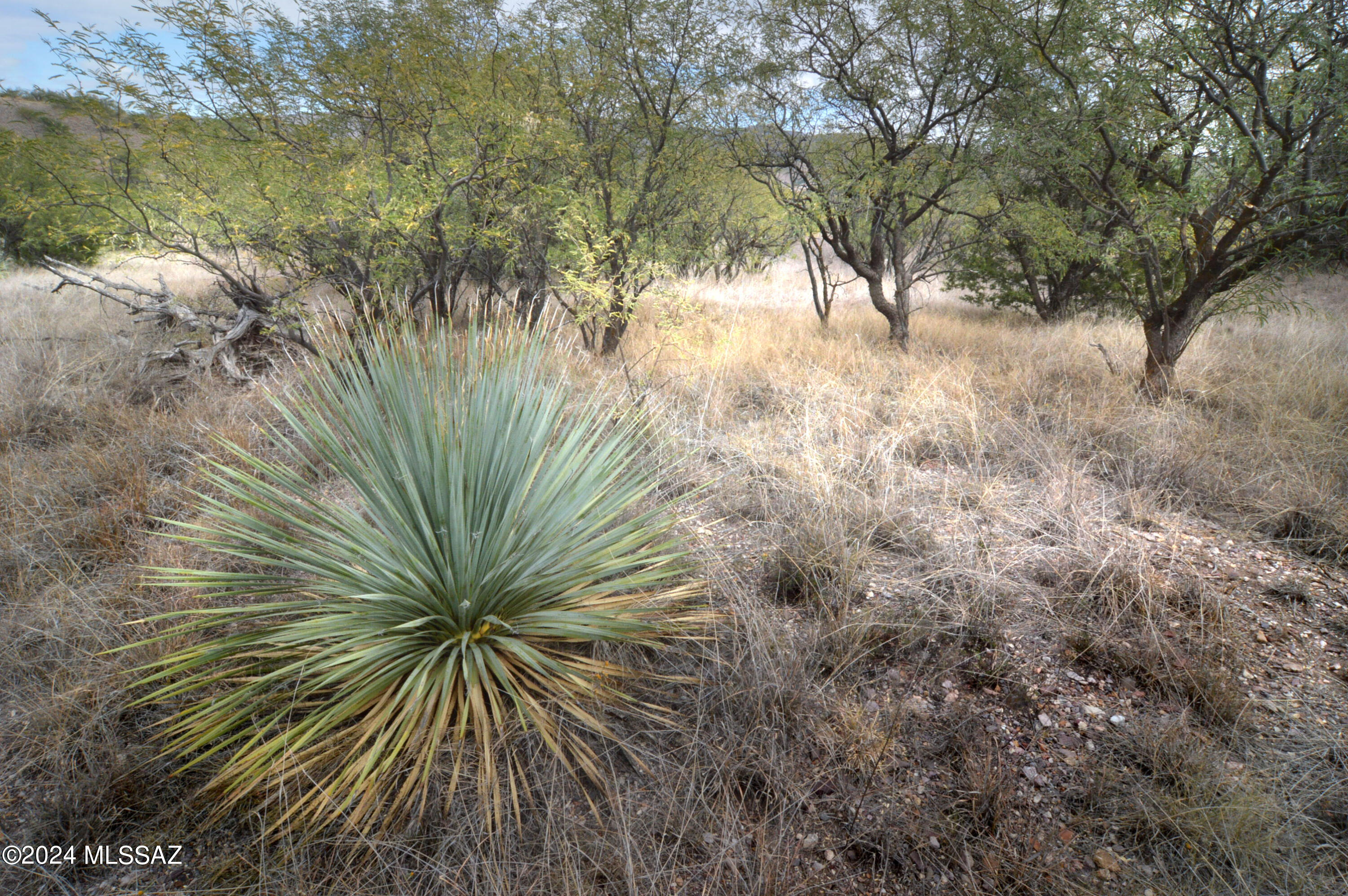 Lazy RR Ranch Estates - Land