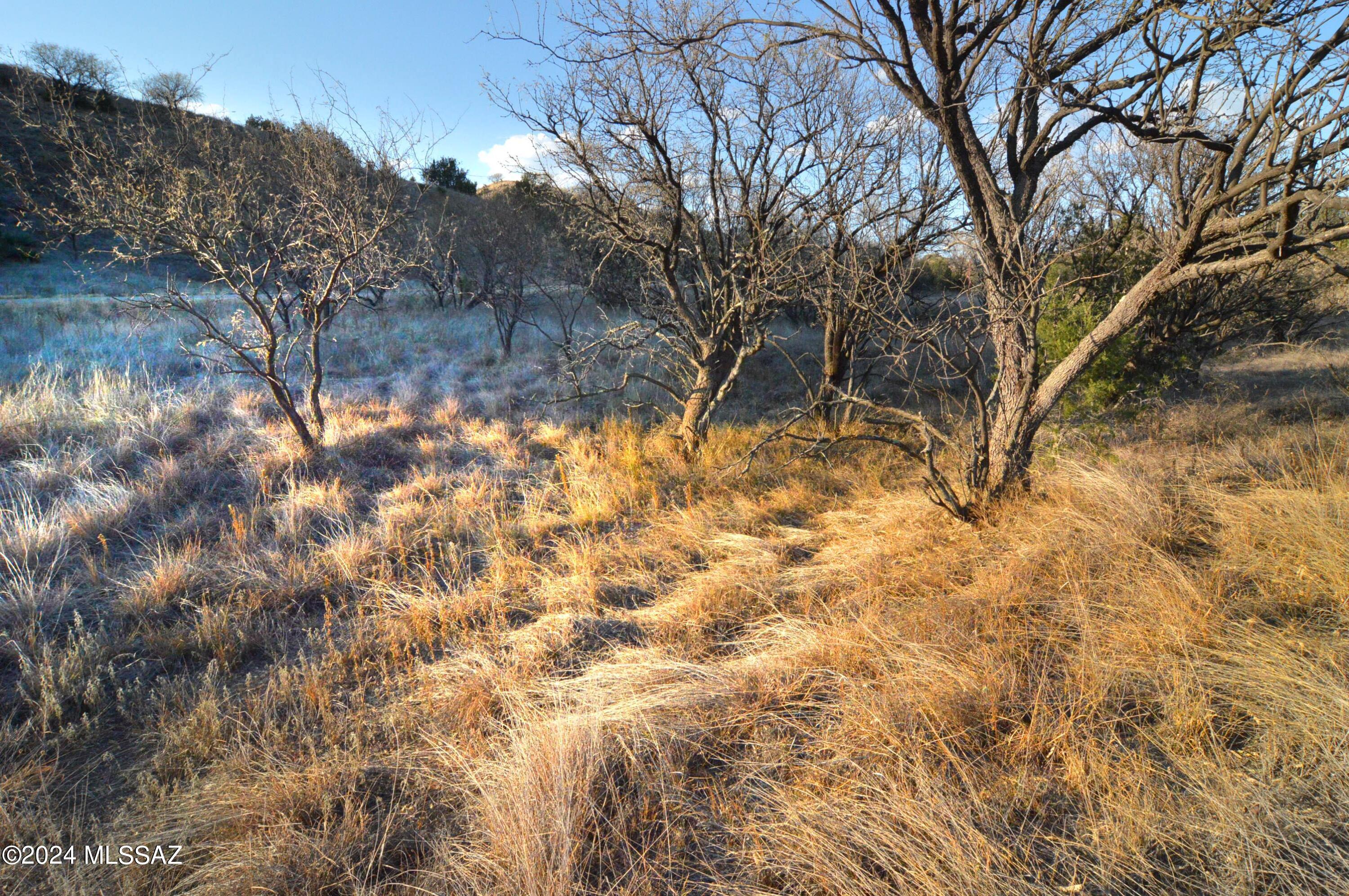 Only two miles NE of historic Patagonia village, off of Scenic Route/HWY 82. Beautiful Stevens Canyon Road is part of the historic Lazy RR Ranch. The road is not a 'through' one so auto use should be very light.  This special parcel offers both privacy & views as well as several excellent building sites for a home, guest house, barn, studio, etc. Its flat & hillside terrain is plush with native growth & abundant wildlife and will give way to & enhance your plans for the property.  No splits are allowed.