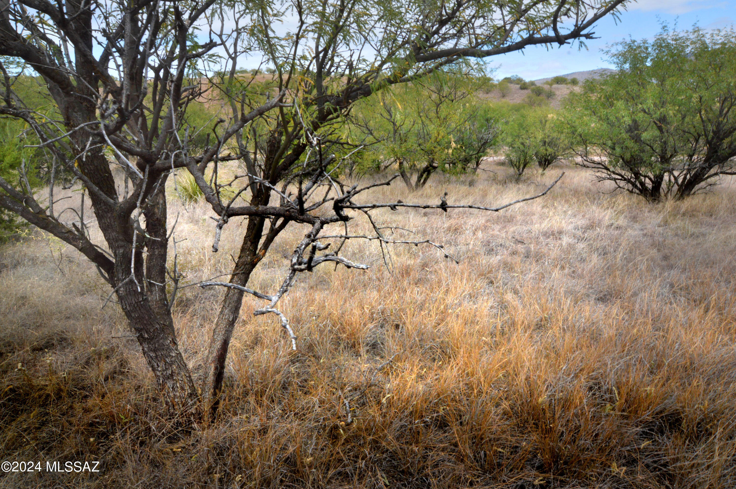 Lazy RR Ranch Estates - Land