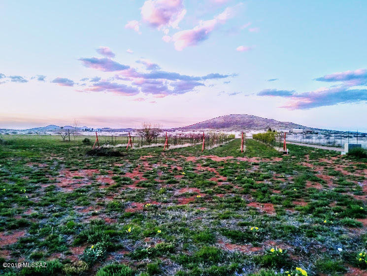N/A - Farm