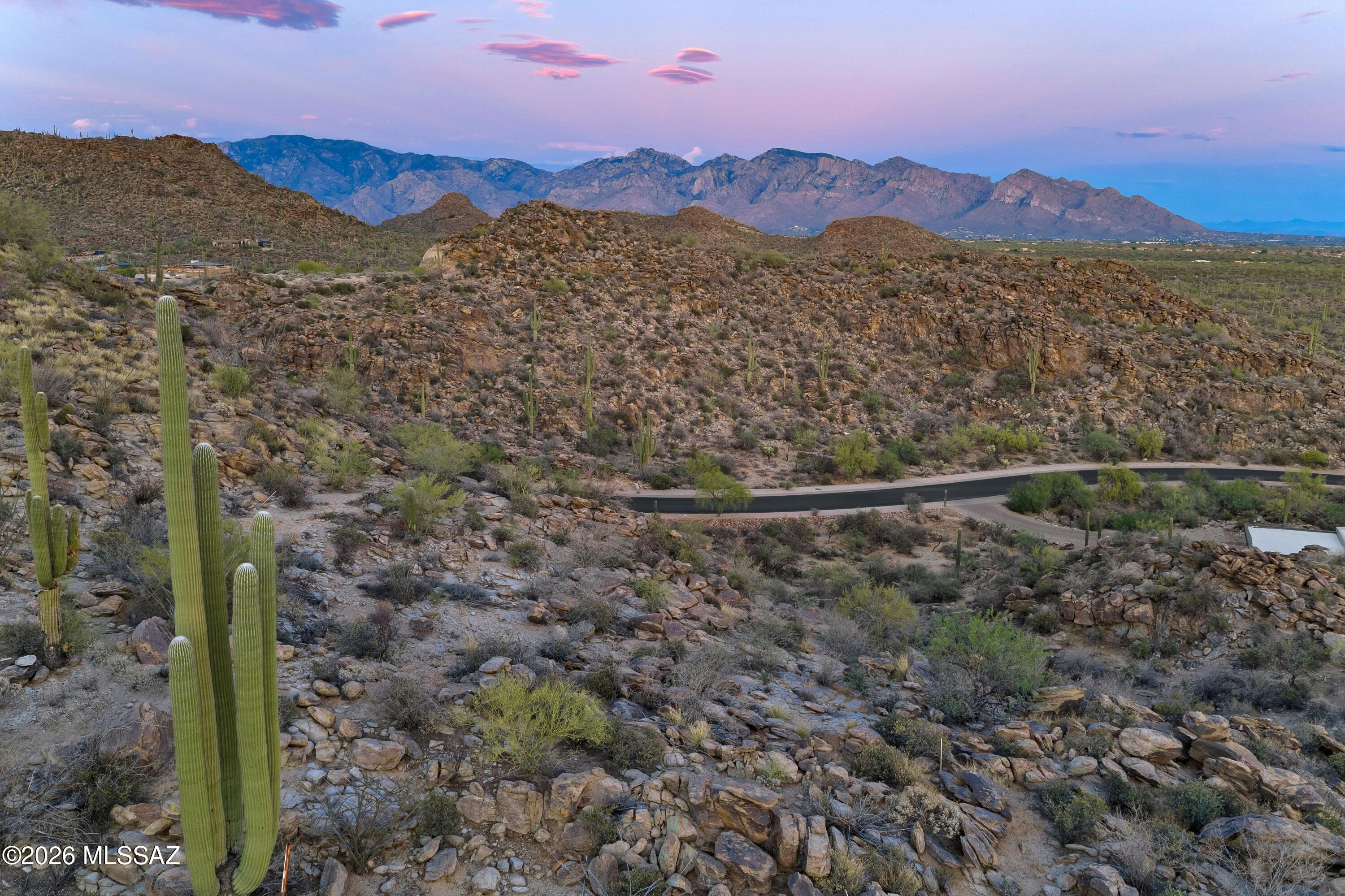 Canyon Pass At Dove Mountain - Land