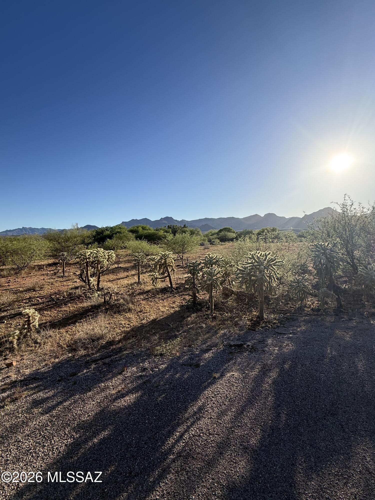 This property offers a peaceful setting with plenty of potential to build your custom home. Conveniently located near local amenities, schools, and easy highway access. A great opportunity for homeowners or investors alike.