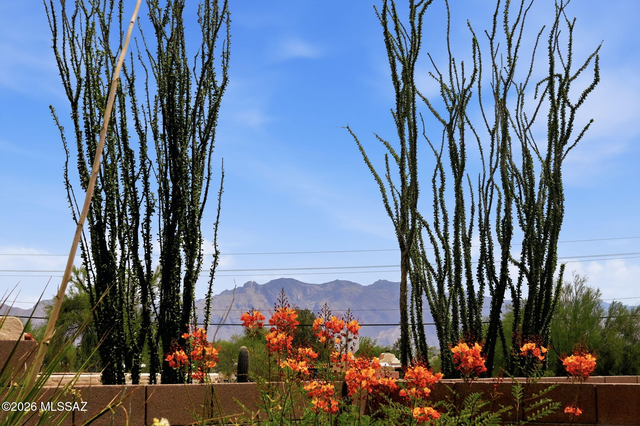 Colina De Oro (1-138) - Residential