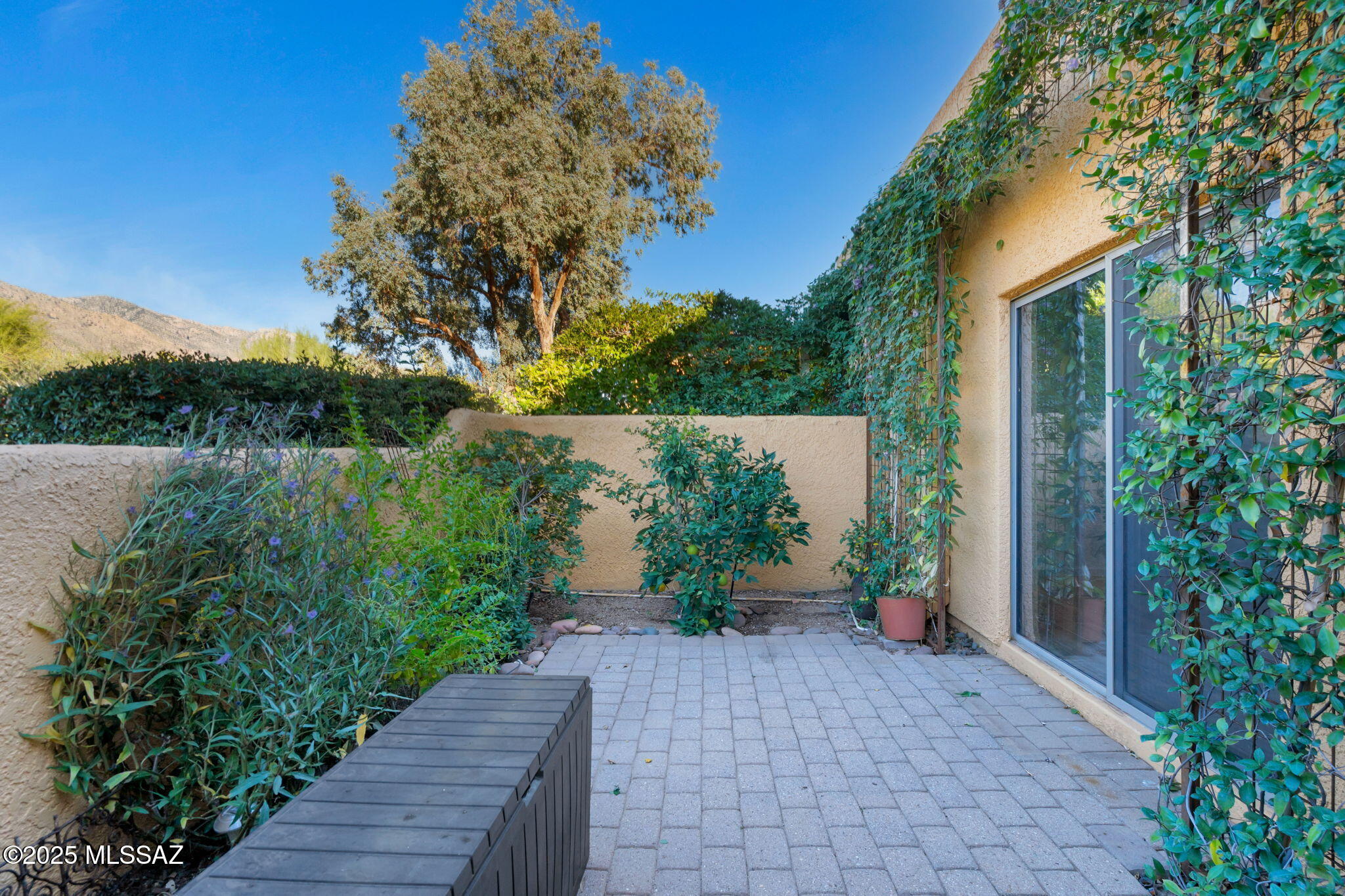 Reflections in the Catalina Condominium - Residential