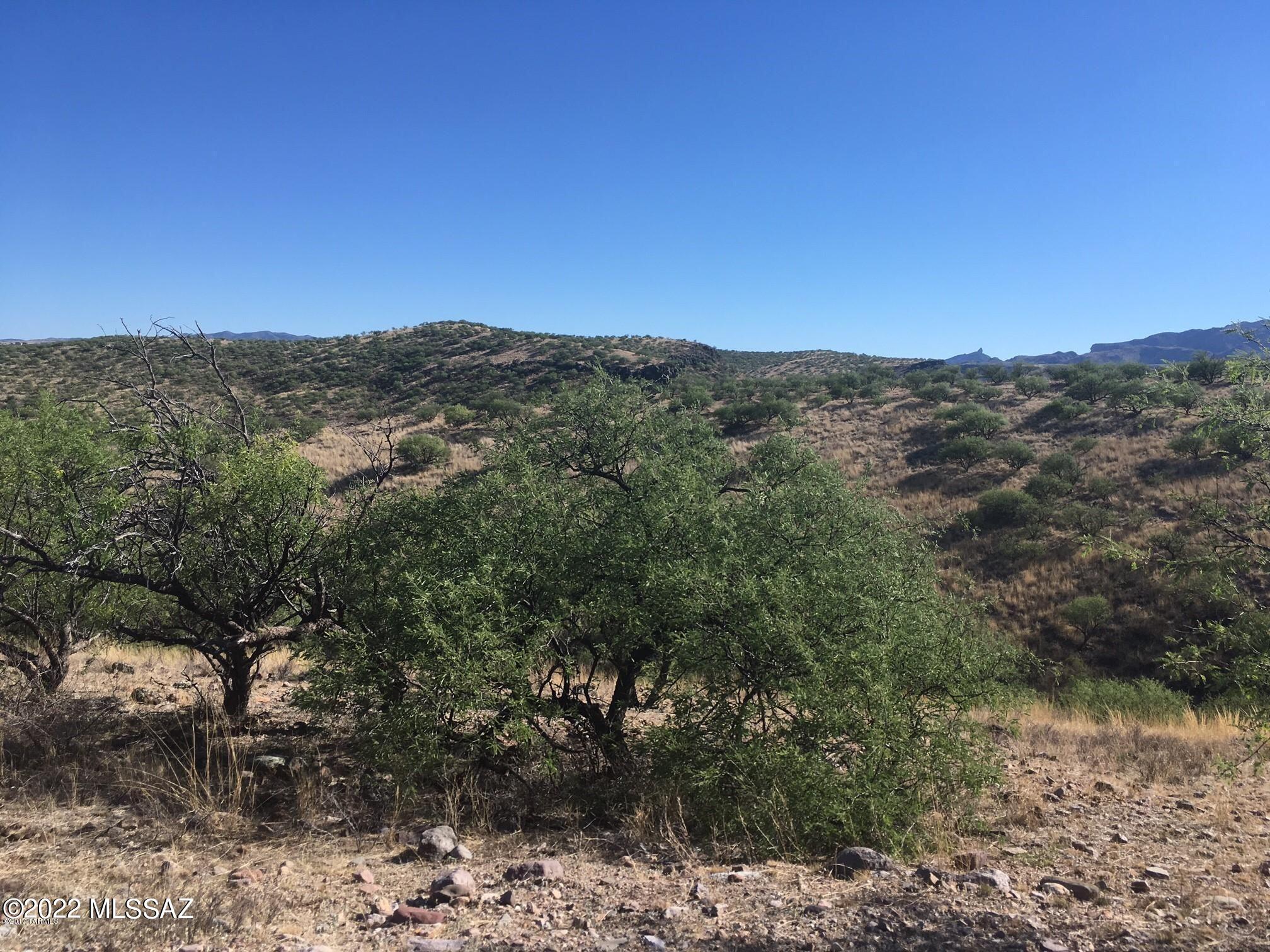 Rio Rico Ranchettes 7 - Land