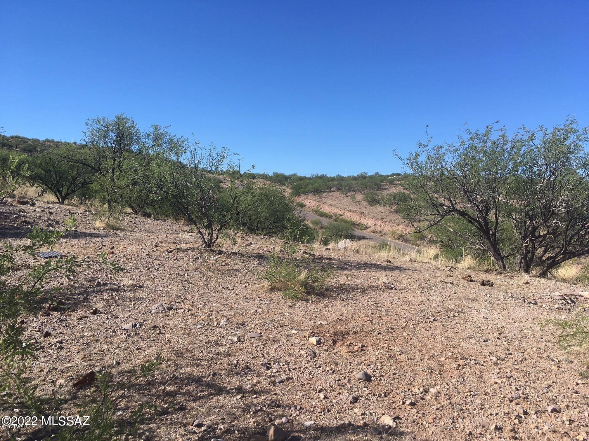 Rio Rico Ranchettes 7 - Land