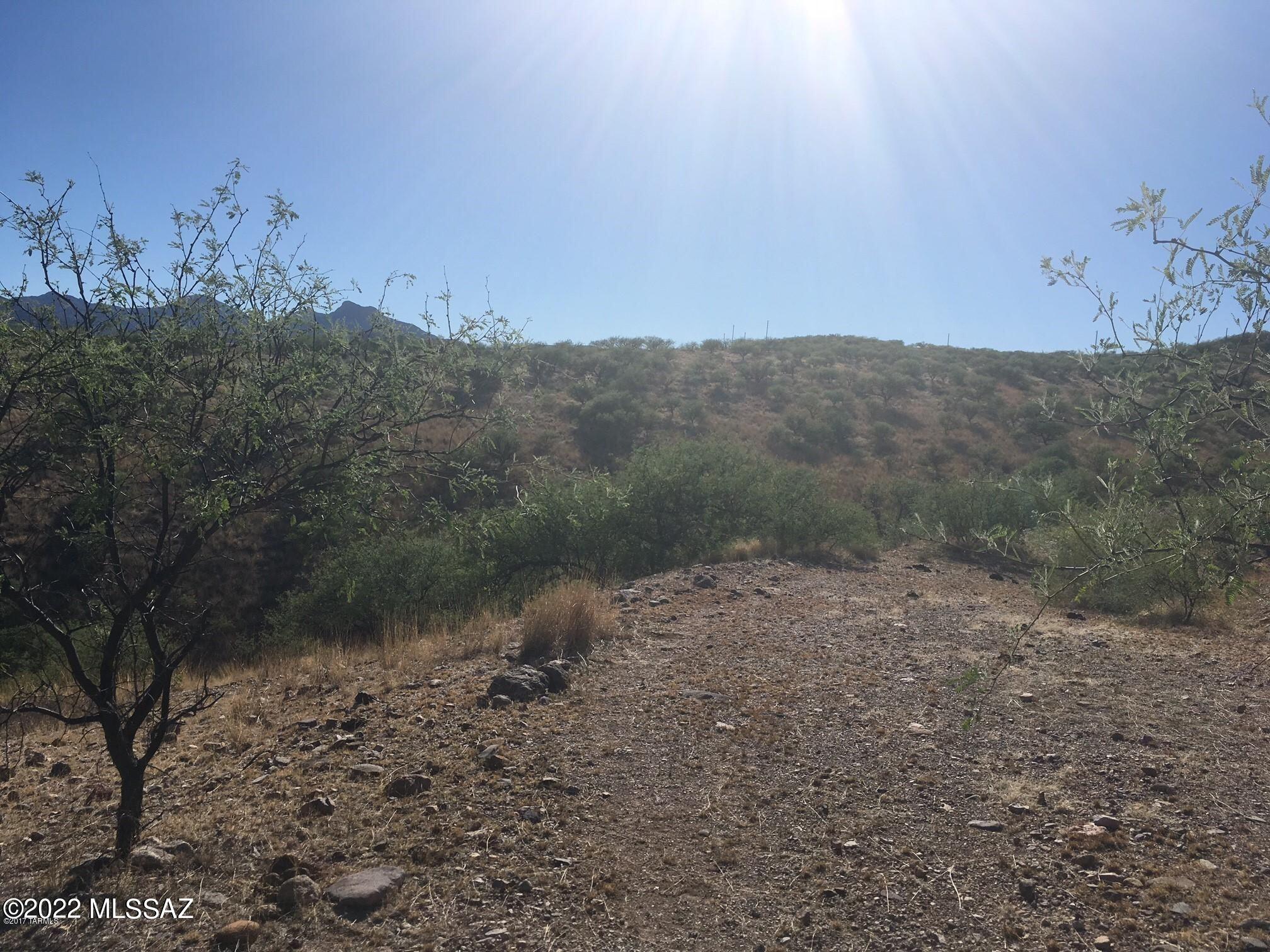 Rio Rico Ranchettes 7 - Land