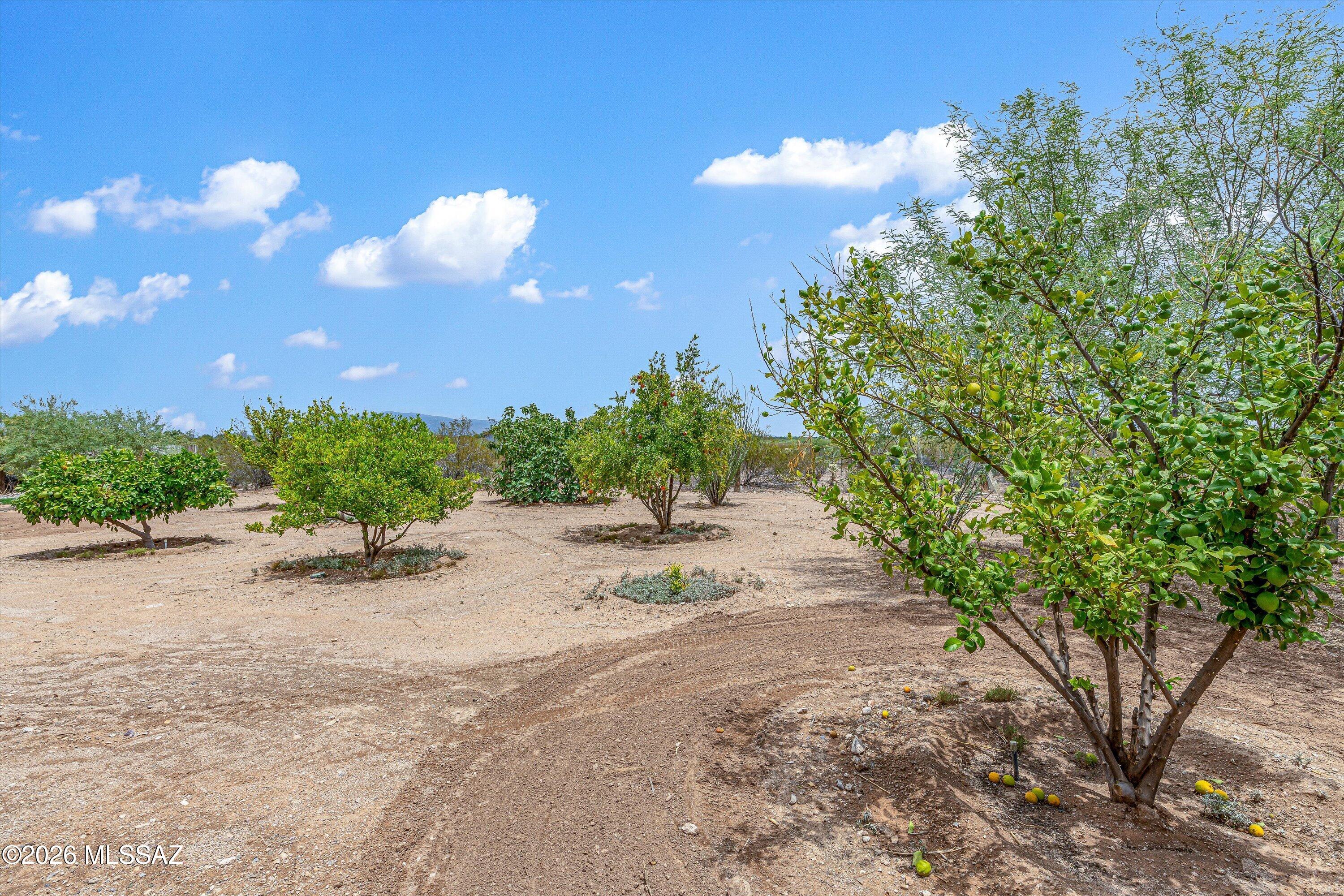 Swan Road Ranches - Residential