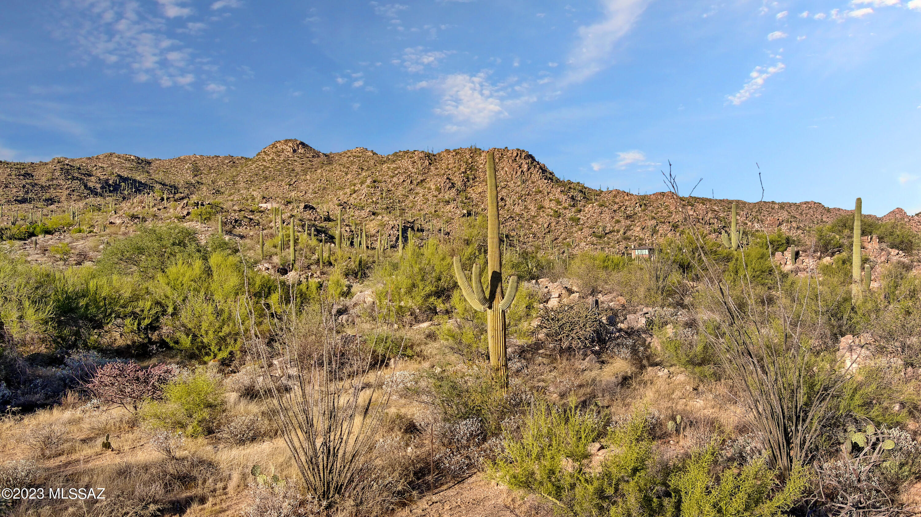 Stone Canyon II - Land