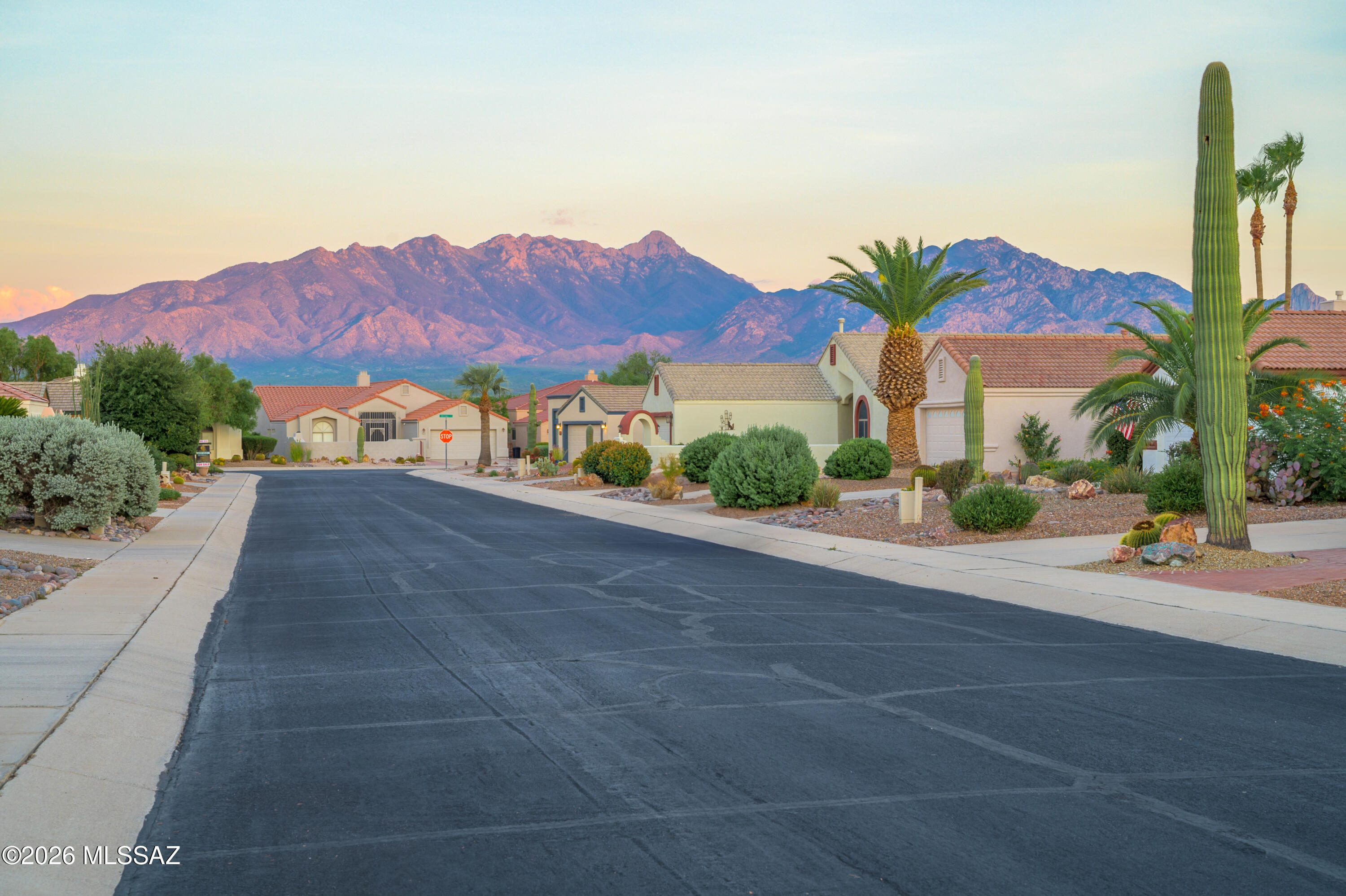 The Greens At Santa Rita Springs (1-167) - Residential